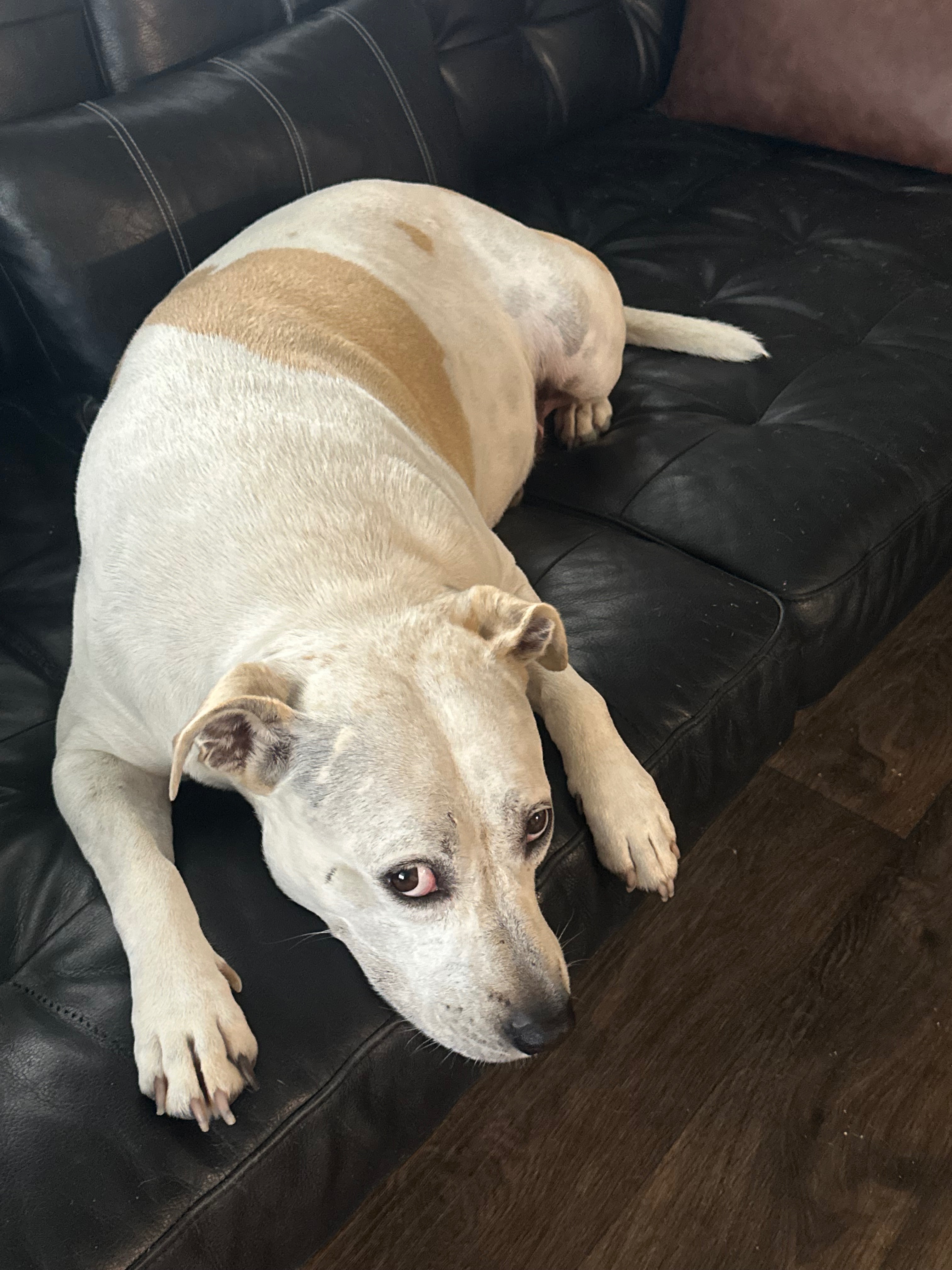 User-uploaded image 1