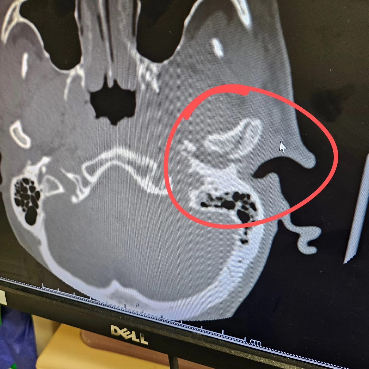 User-uploaded image 3