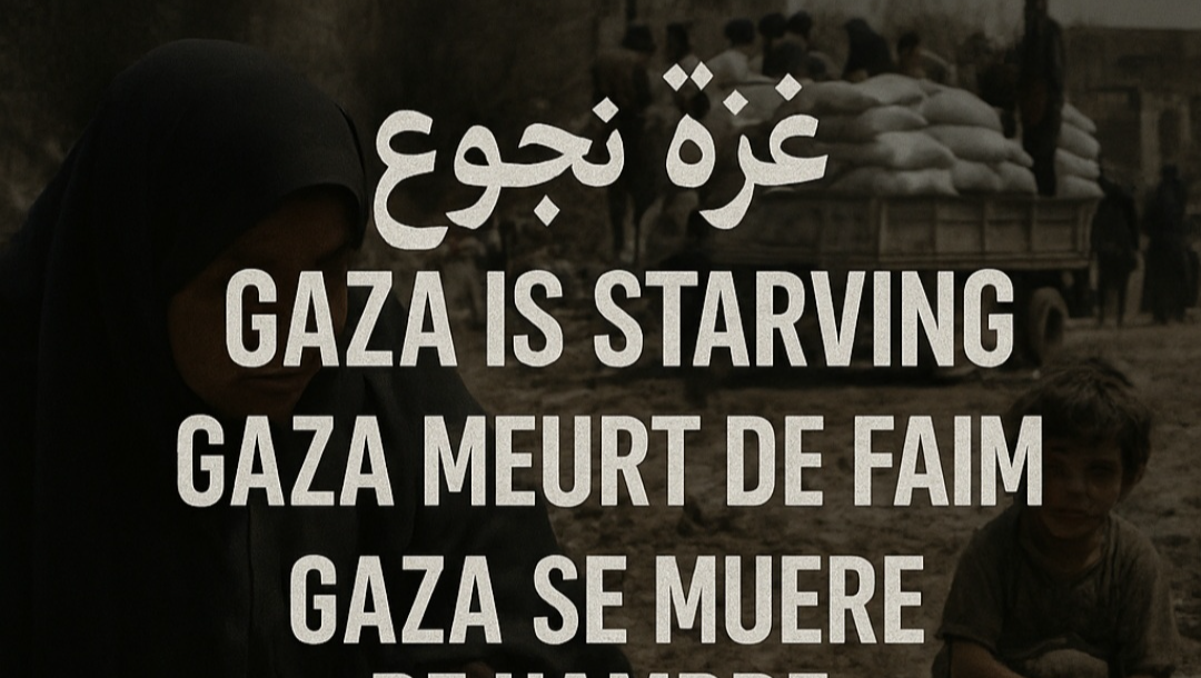 Help surviving 16 children in GAZA with donations for food photo