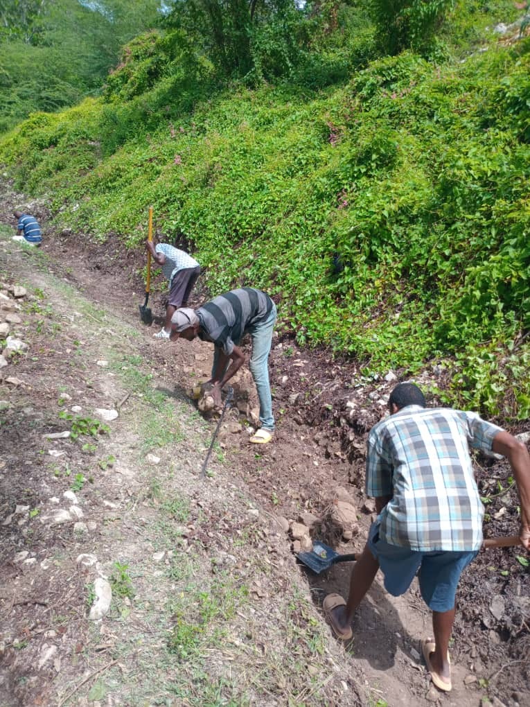 User-uploaded image 3