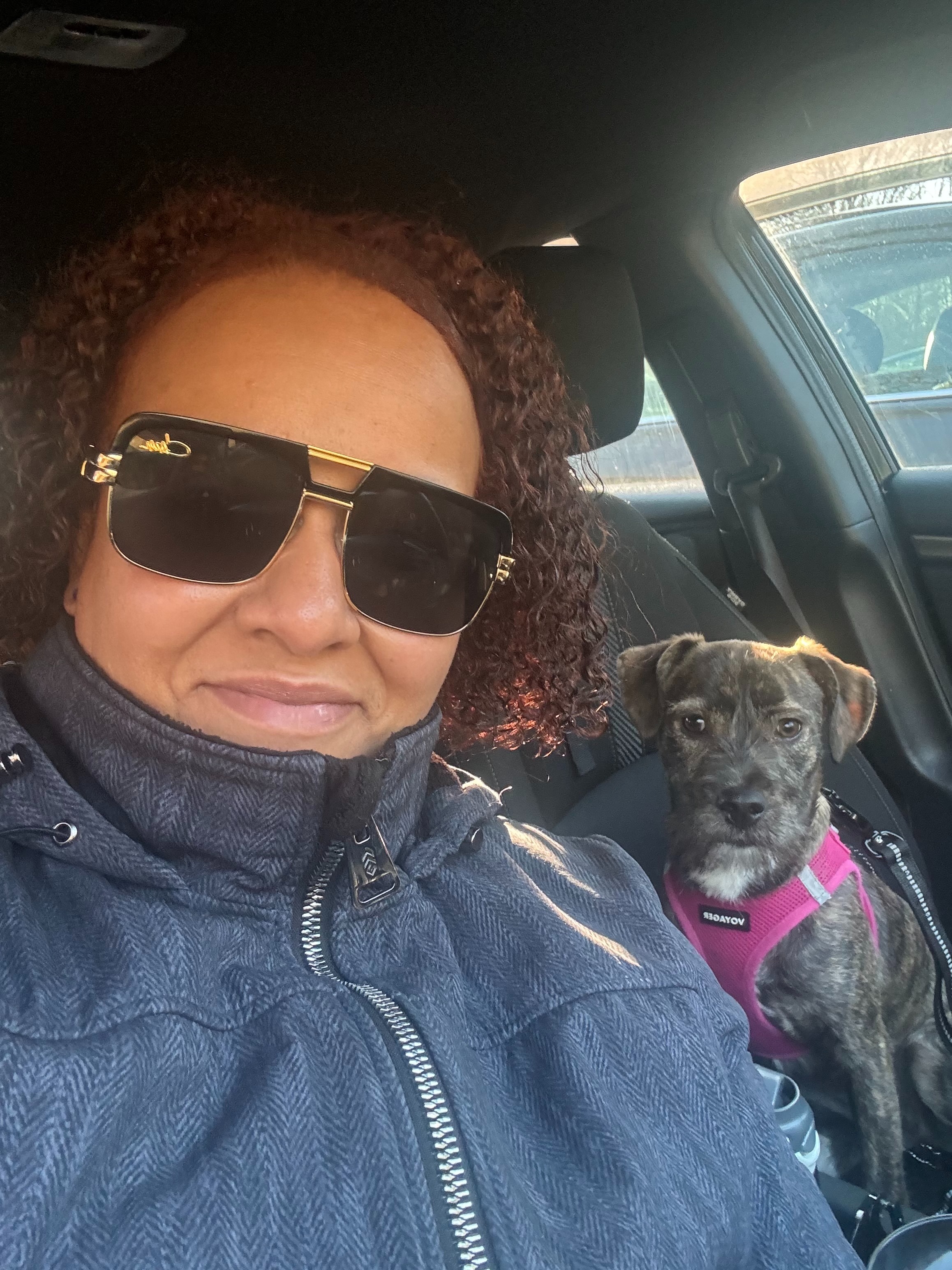 Help Stormy Breathe: Rescued Dog in Need campaign photo, 2 of 8