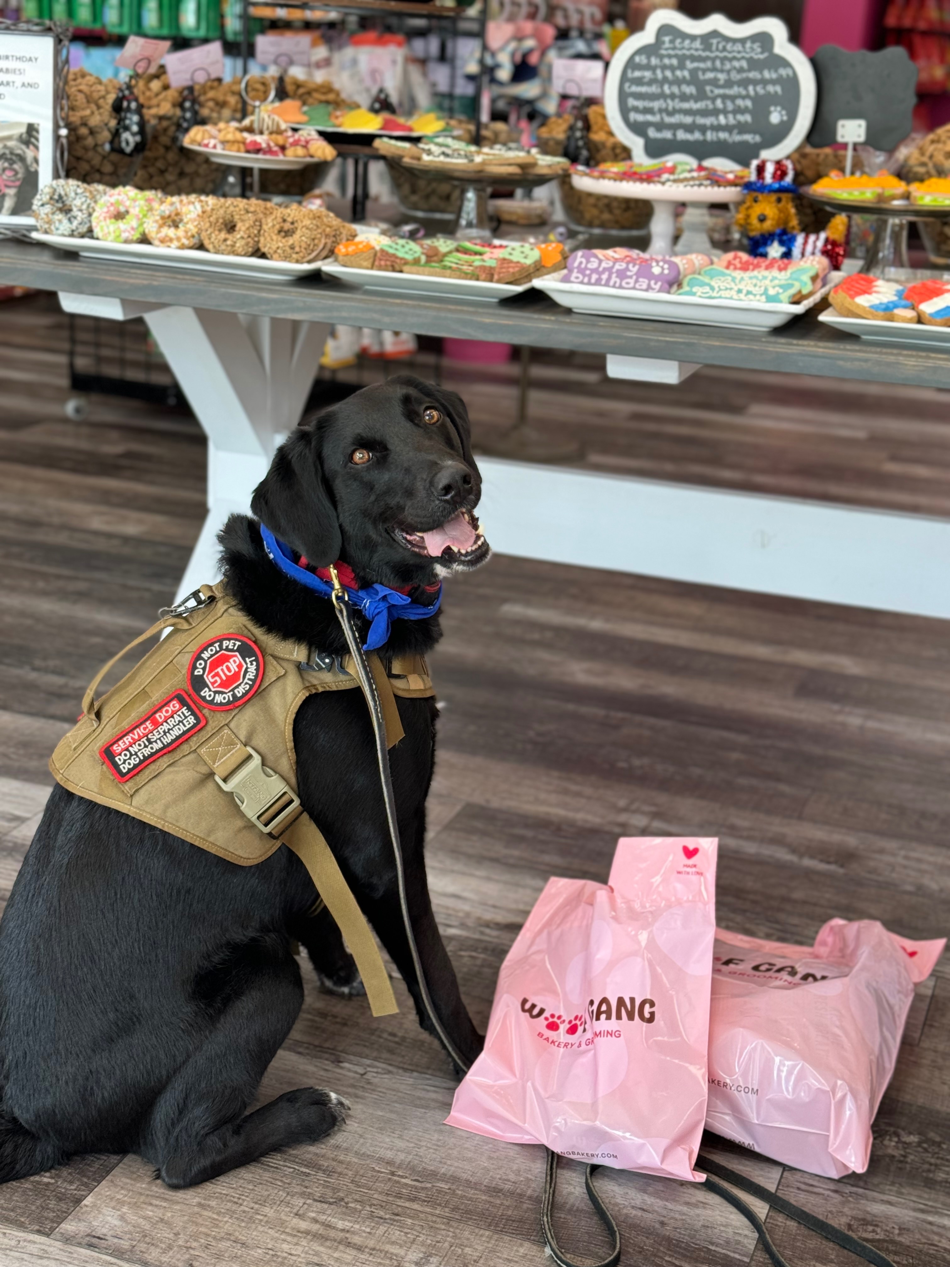 Save Yuka: Urgent Help Needed for Therapy Dog campaign photo, 2 of 7
