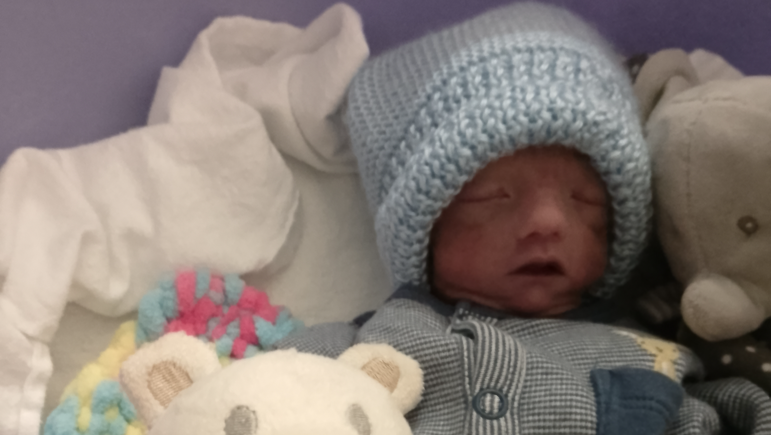 To Fund Theodore's Funeral