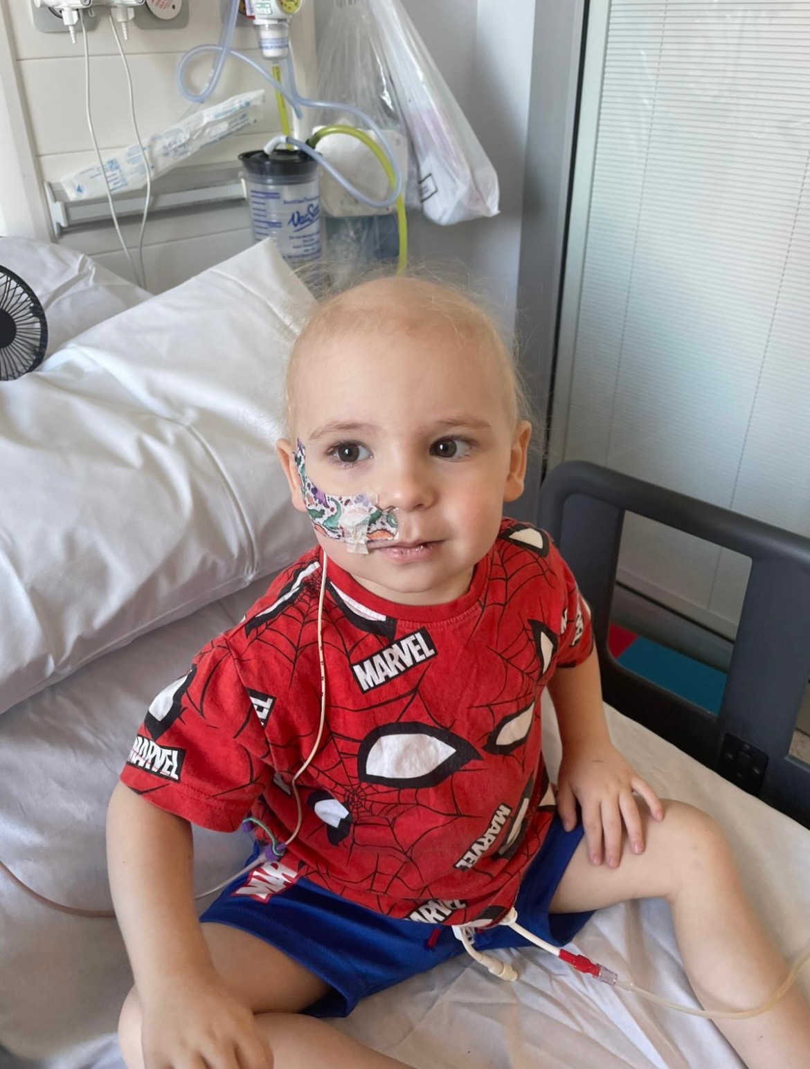 Help Our Little Bear Kit Fight Stage 4 Neuroblastoma  campaign photo, 2 of 8