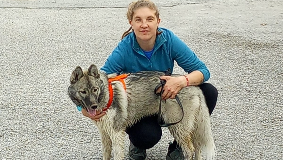 Sostieni la mia attività con gli animali photo