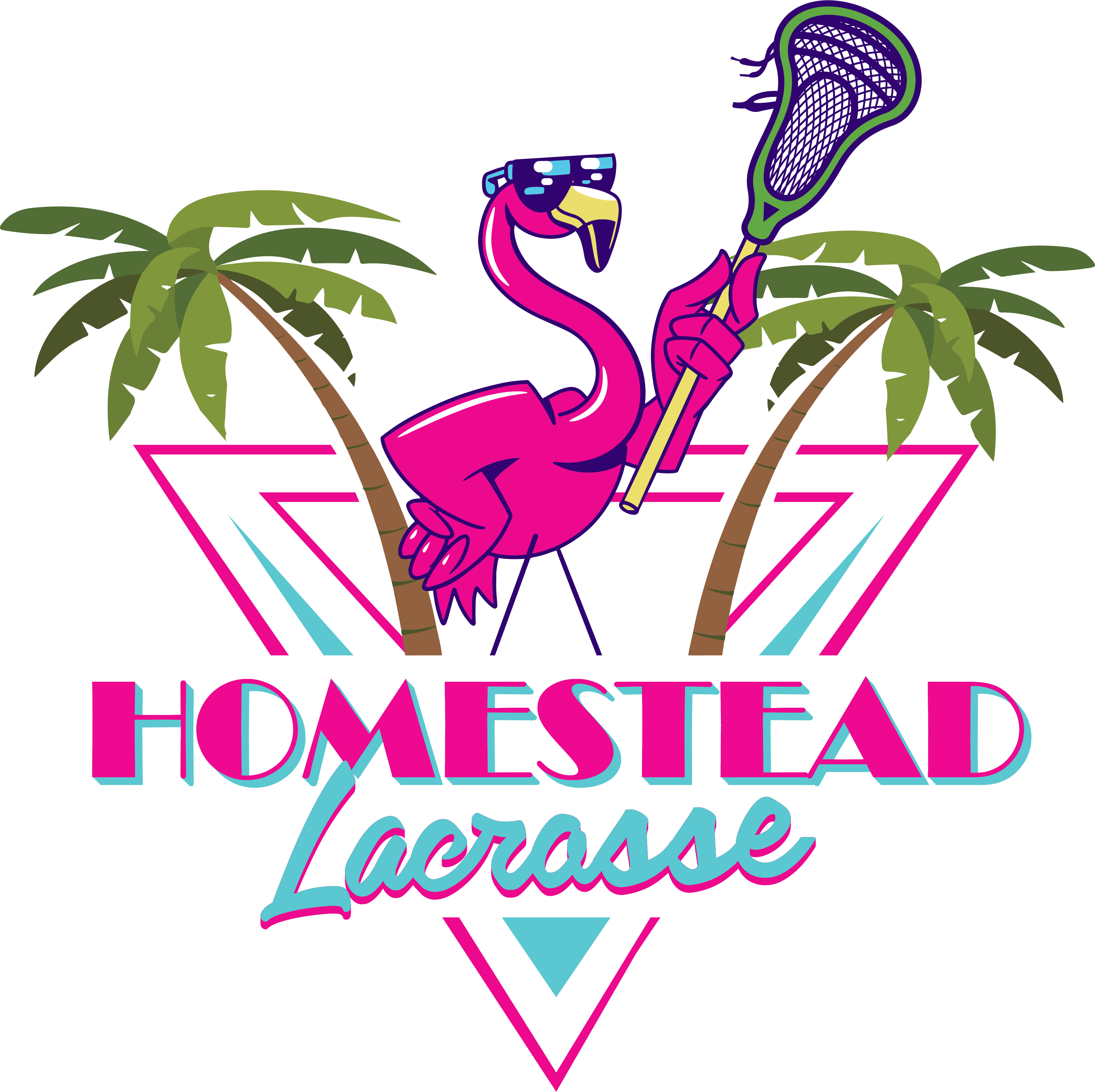 Support the Homestead Lacrosse Club campaign photo, 2 of 4