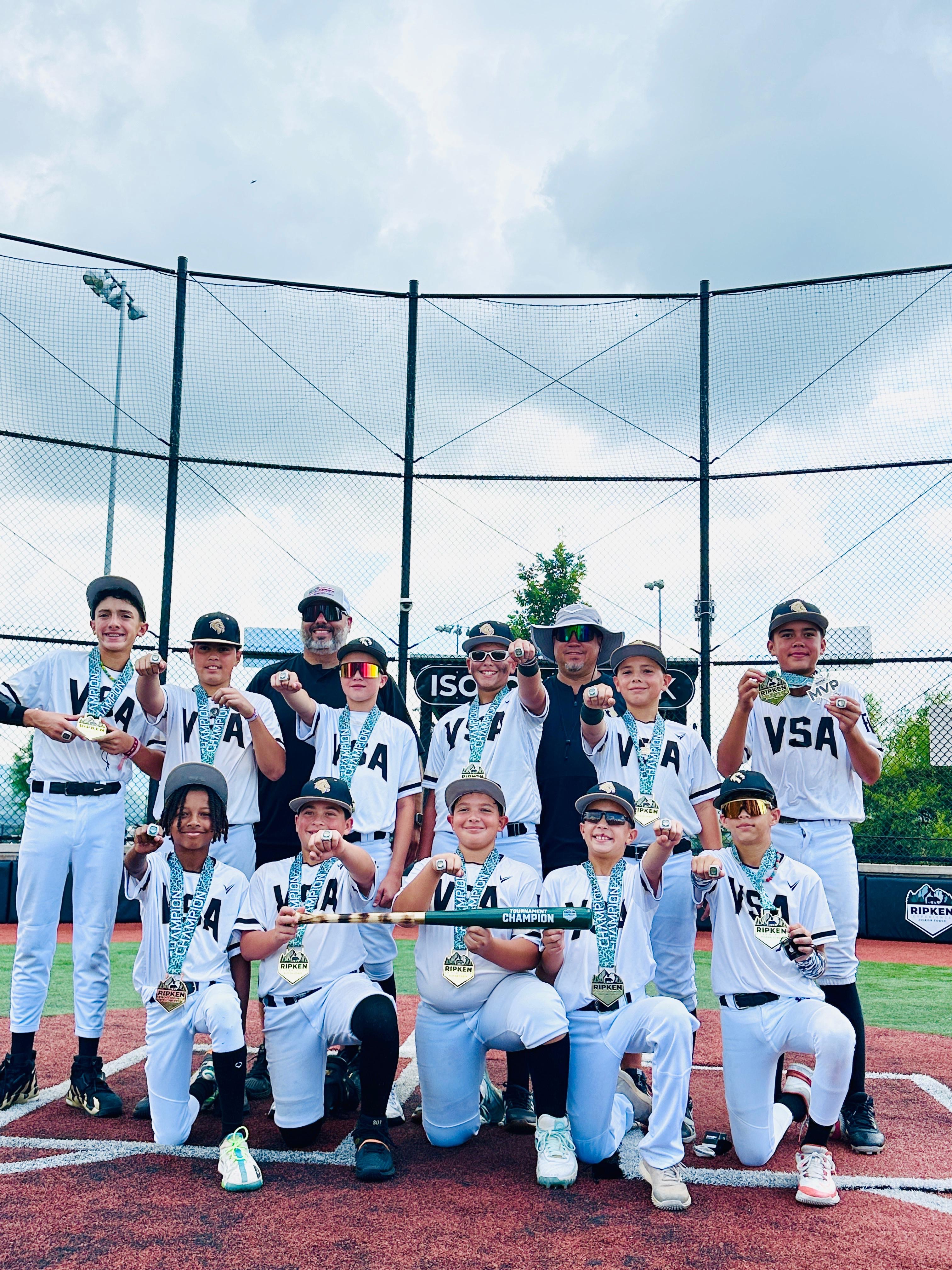 Support 543 VSA LIONS 12U Baseball's Mission campaign photo, 2 of 4