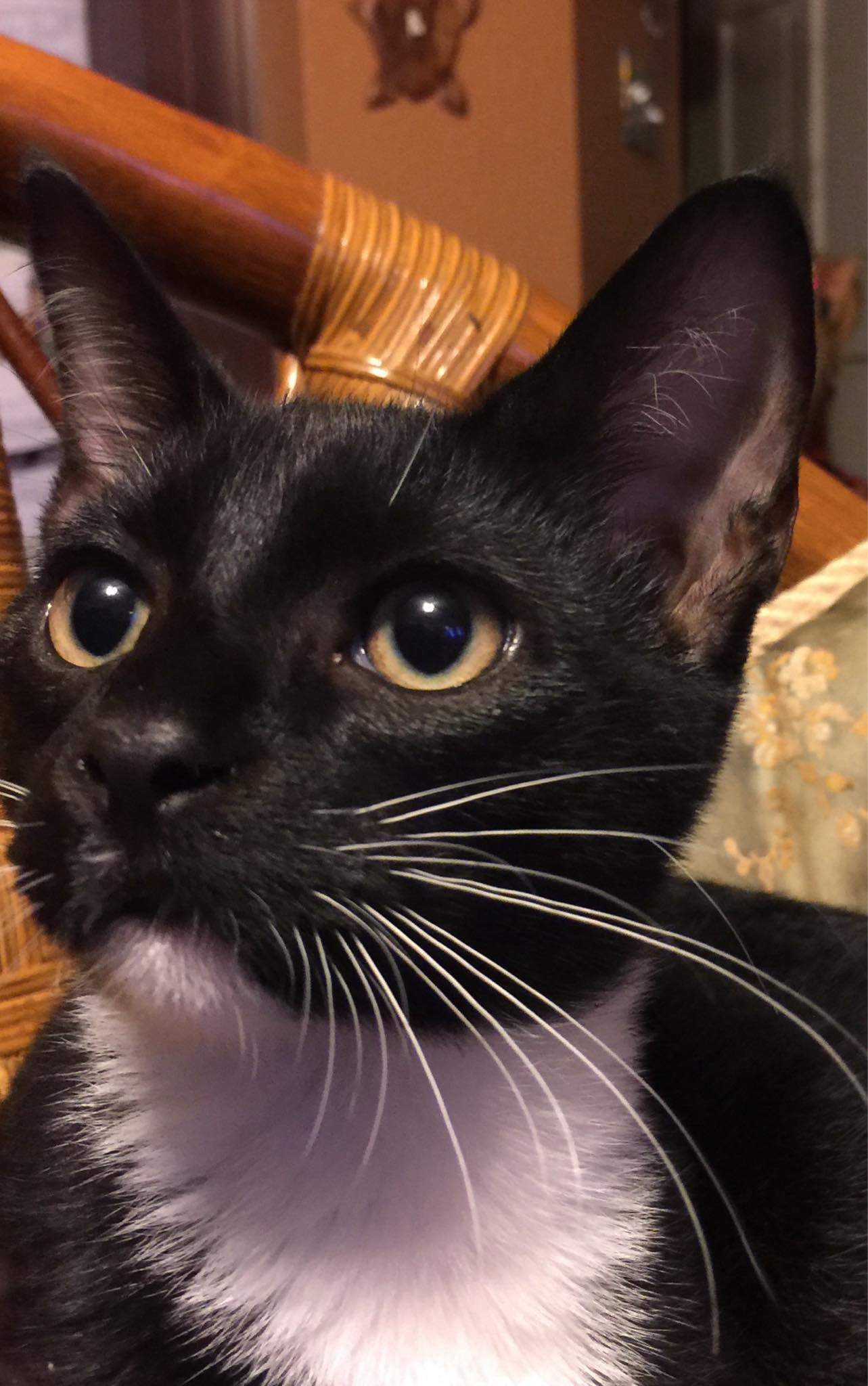 User-uploaded image 1