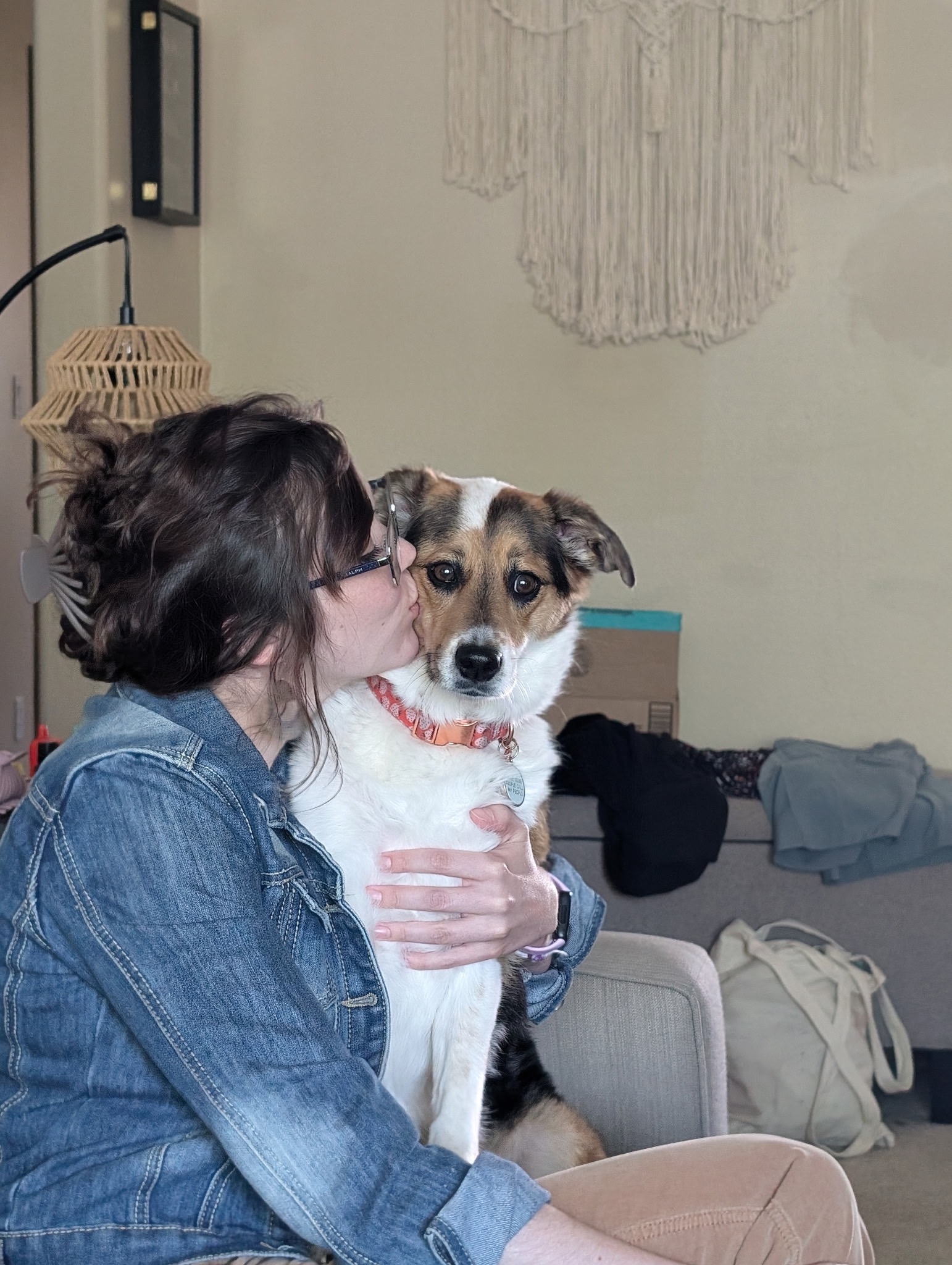 Support Bailey's Second Crucial Surgery campaign photo, 2 of 6
