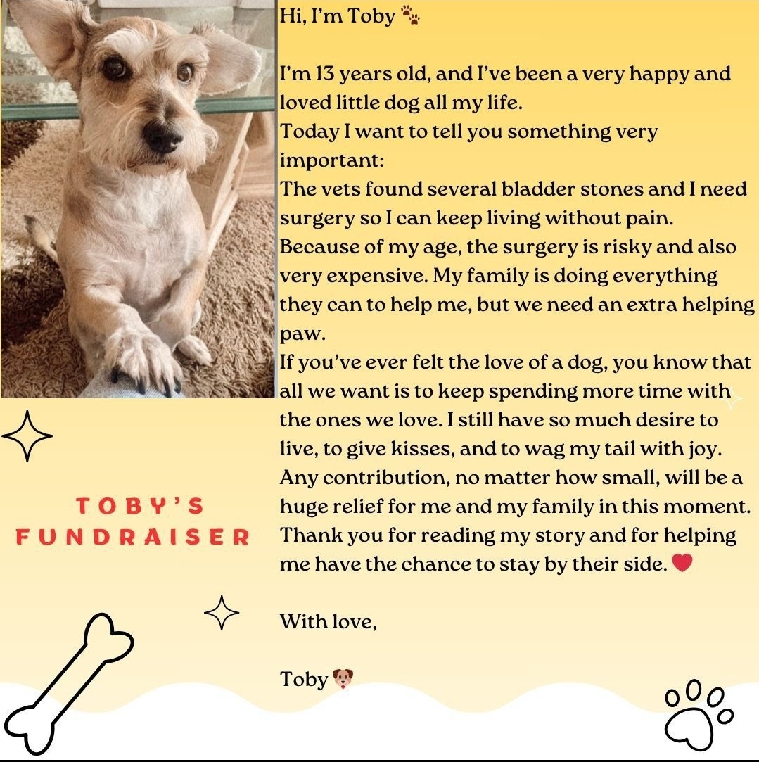 Give Toby a Chance to Live Pain-Free campaign photo, 2 of 4