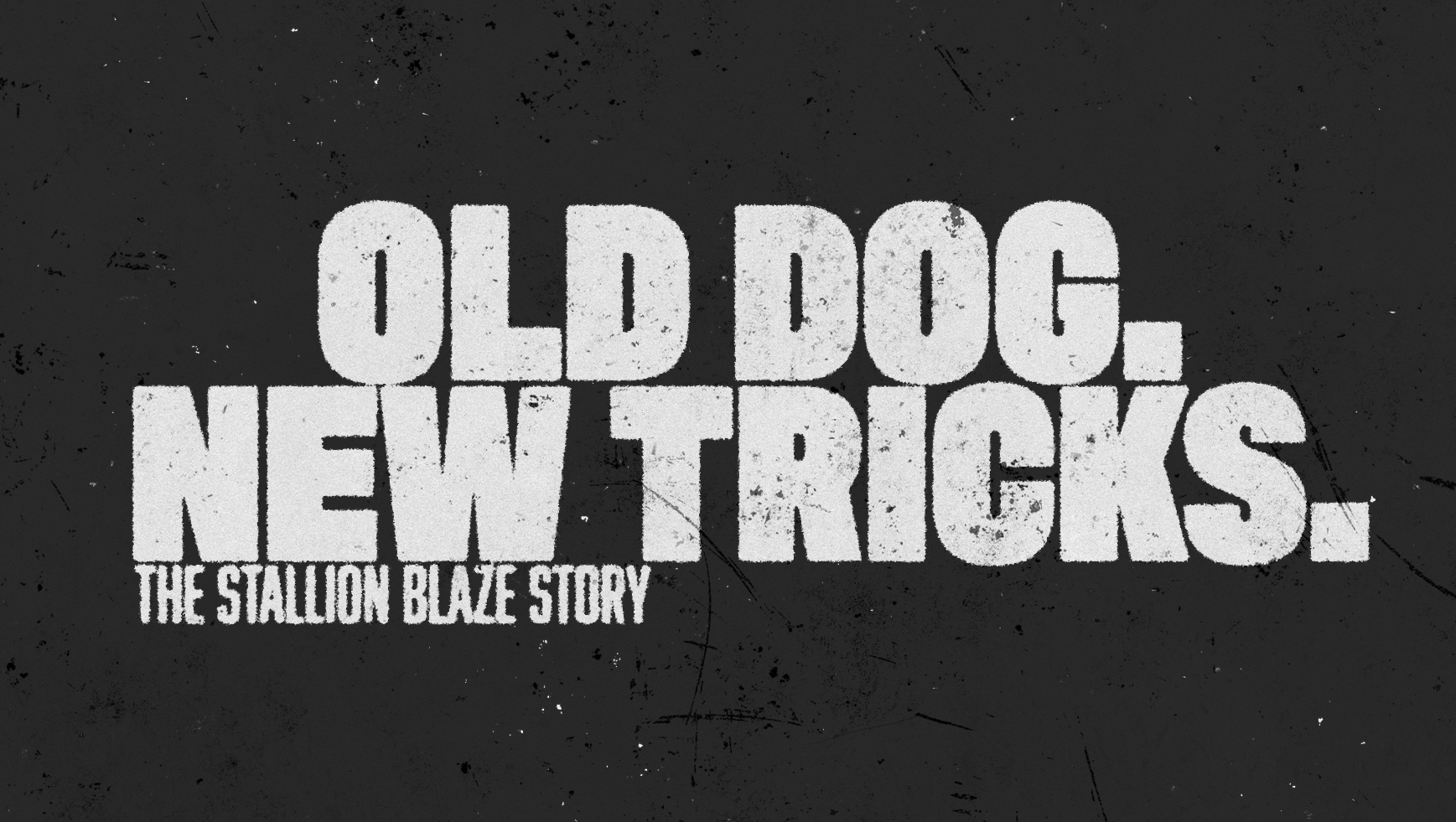 Stallion Blaze - Student Made Rock Mockumentary photo