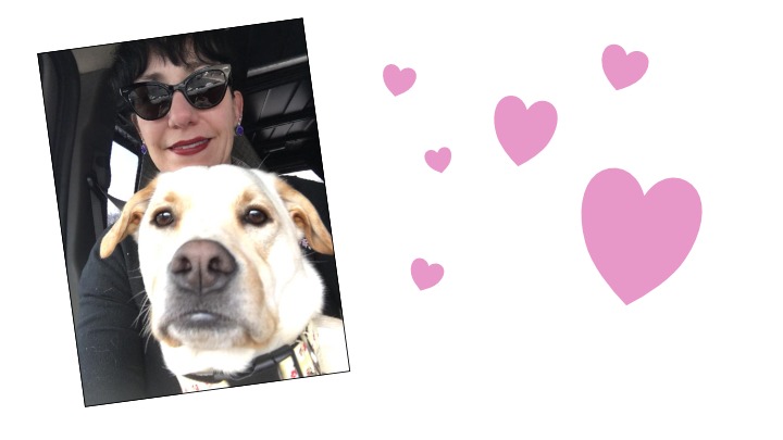 User-uploaded image 1