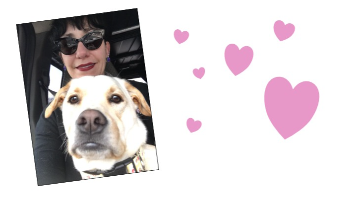 Help Gloucester's Lauren Suchecki After a Devastating Fire