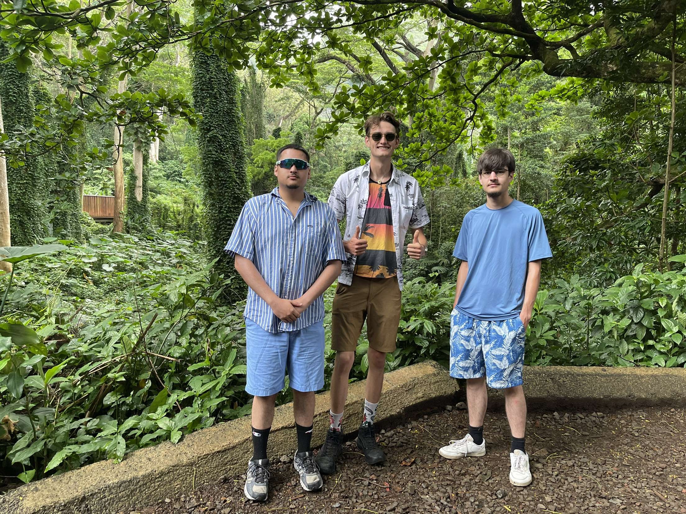 User-uploaded image 1