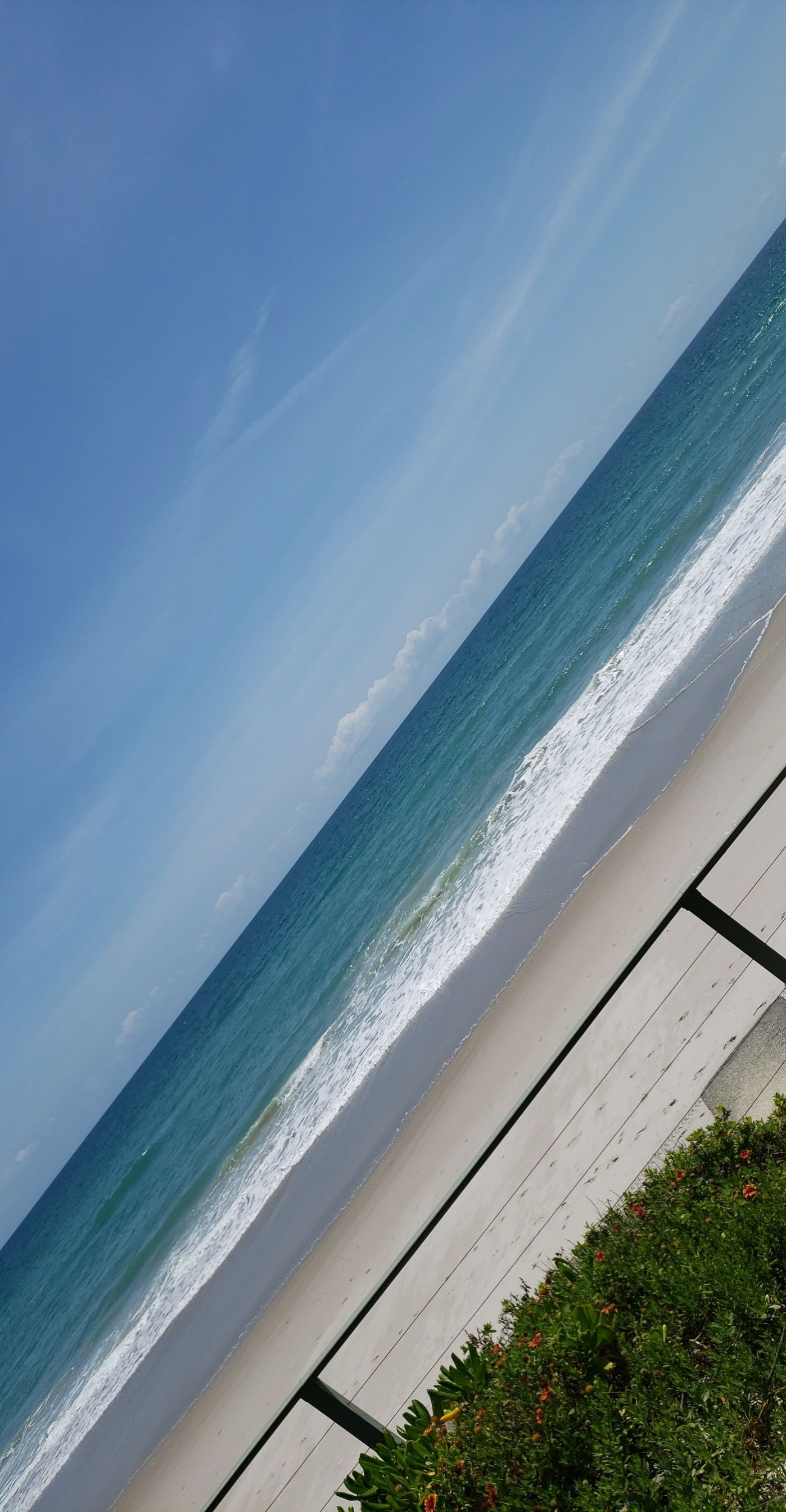 User-uploaded image 1