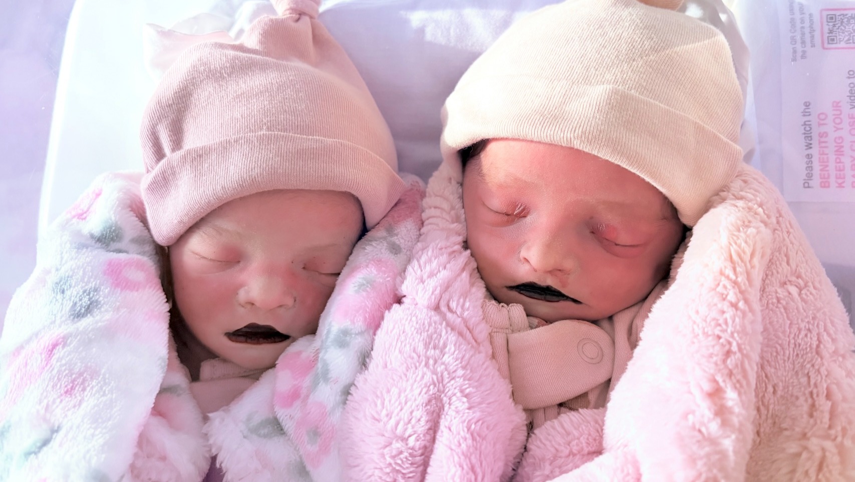 Support for Memorial of Twin Baby Girls photo