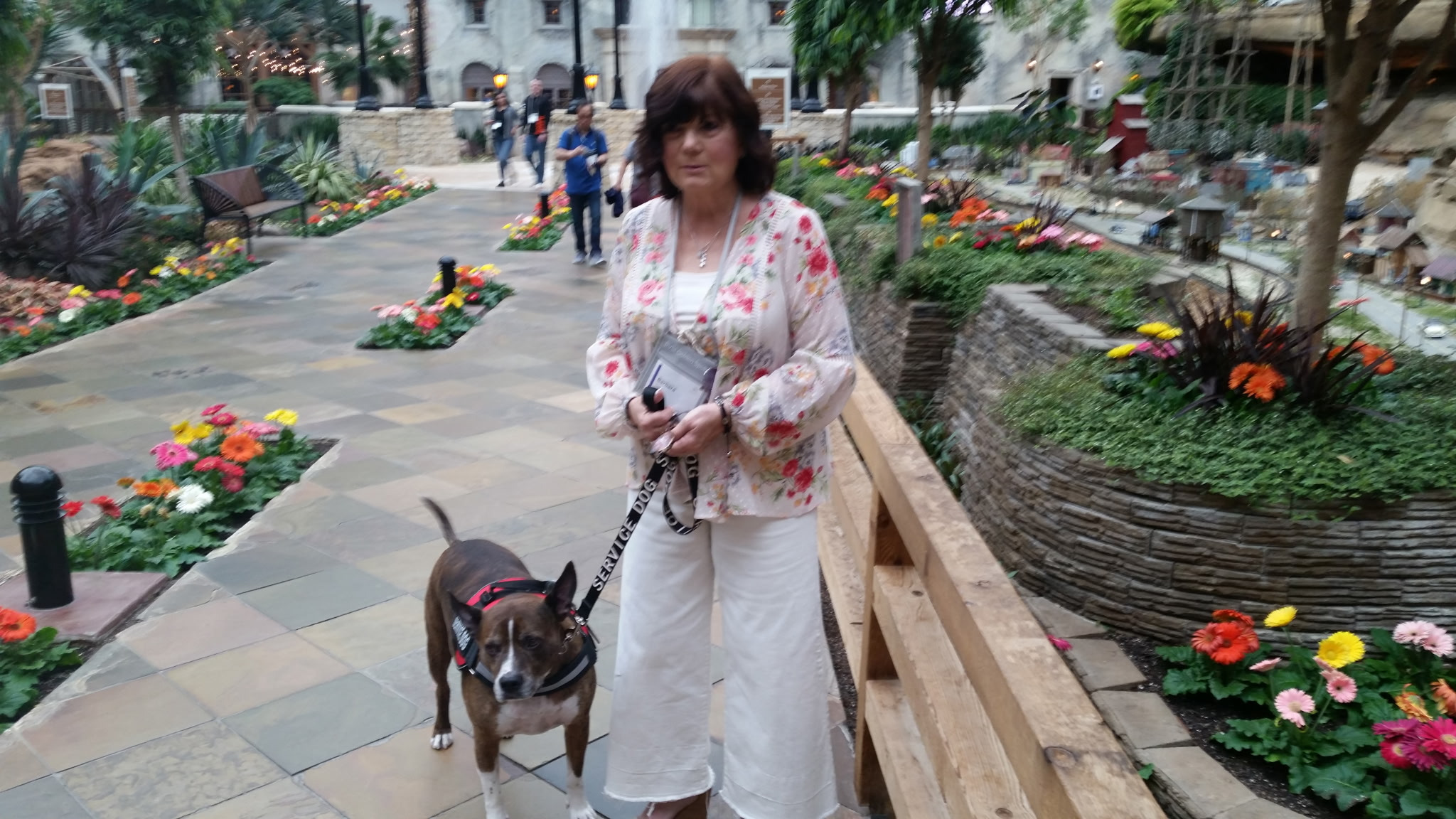 Help Honor Barbara's Legacy campaign photo, 4 of 8