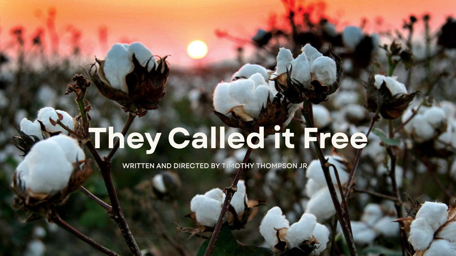 They Called It Free -  WCU Senior Thesis Project campaign photo, 2 of 5