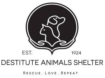 Raise Money for a Local Animal Shelter For Valerie campaign photo, 5 of 6