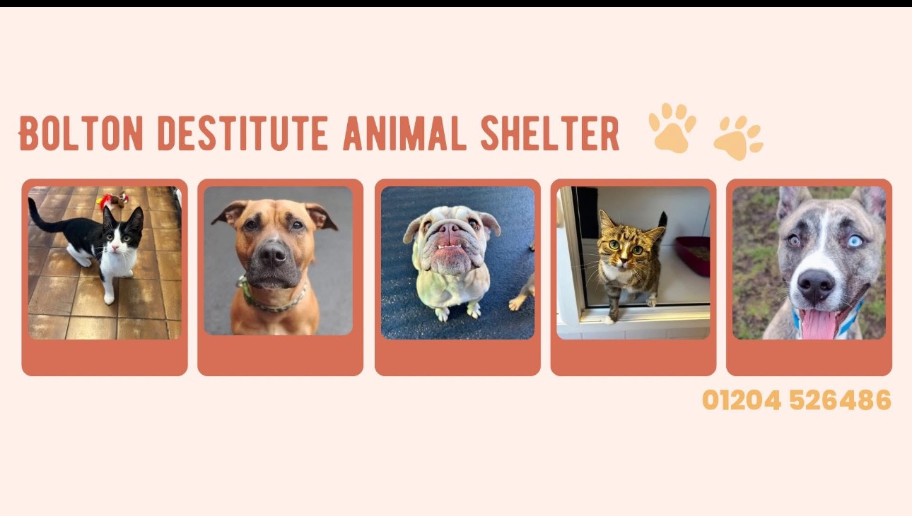Raise Money for a Local Animal Shelter For Valerie campaign photo, 2 of 6