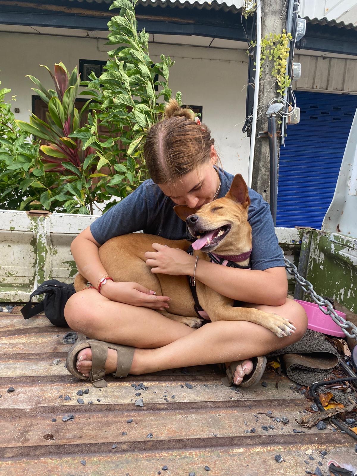 Help this sweet Thai rescue dog find her forever home ❤️ campaign photo, 4 of 5