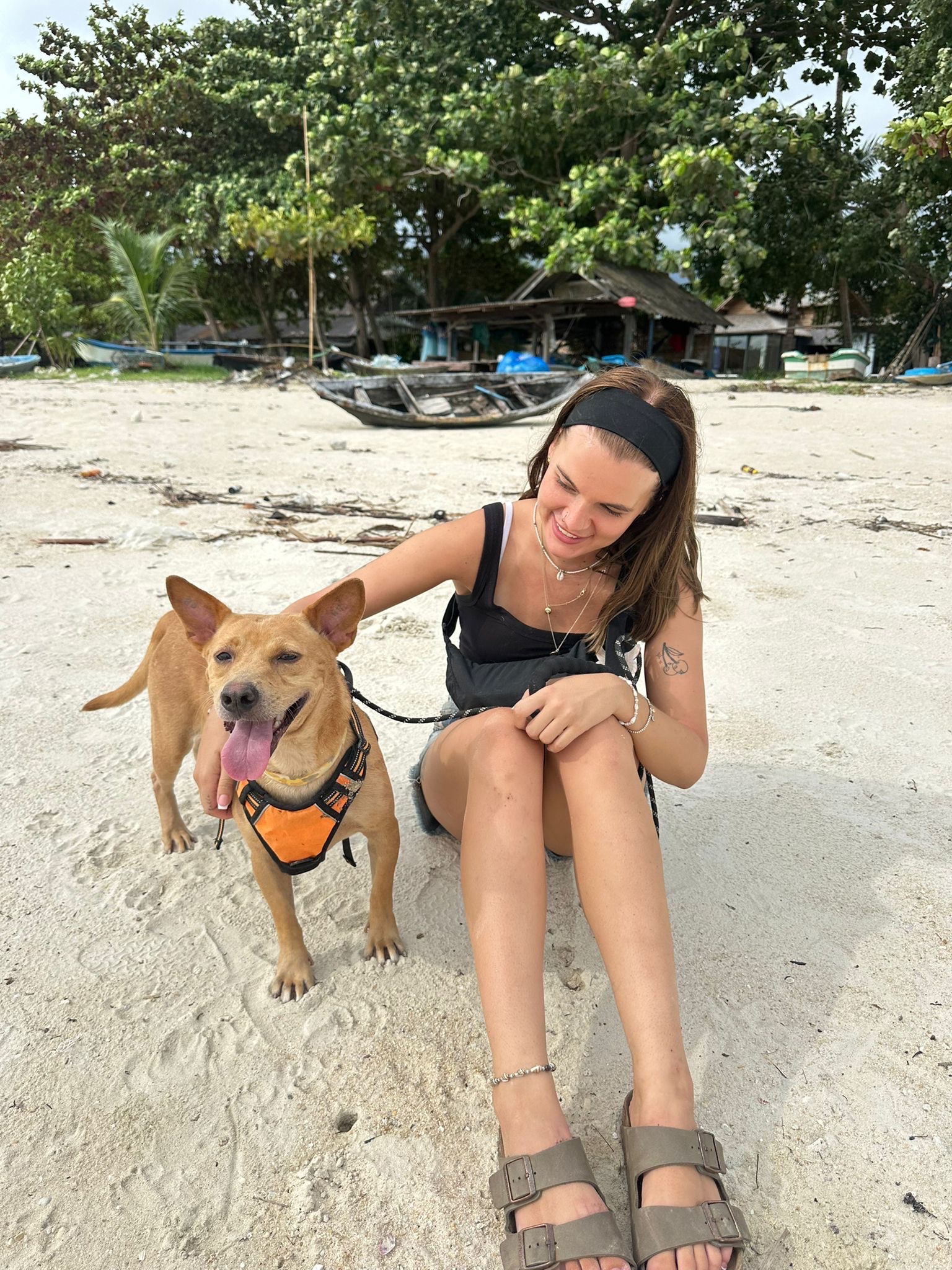 Help this sweet Thai rescue dog find her forever home ❤️ campaign photo, 2 of 5