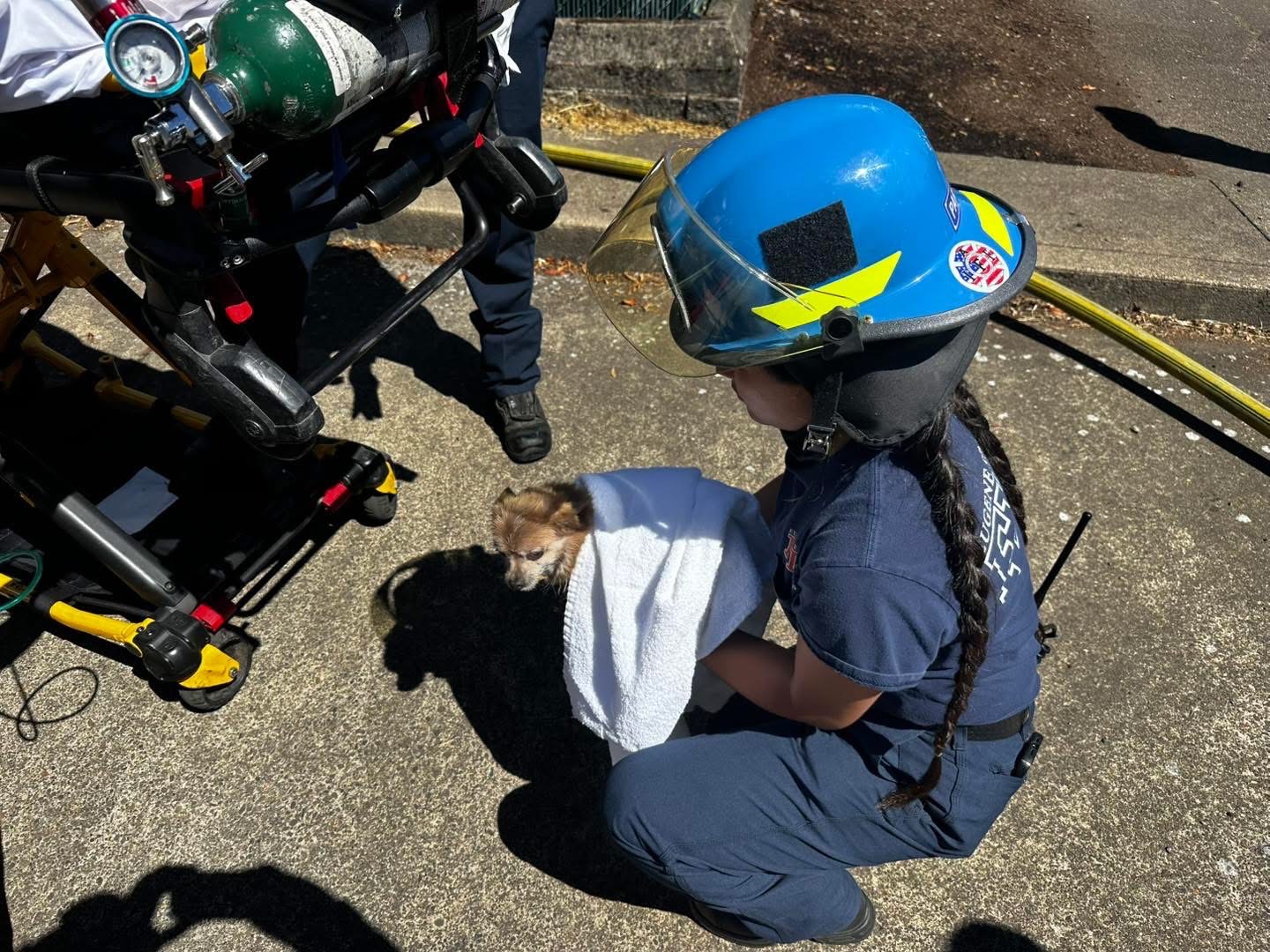 Support Destiny and Taquito After Fire campaign photo, 5 of 6