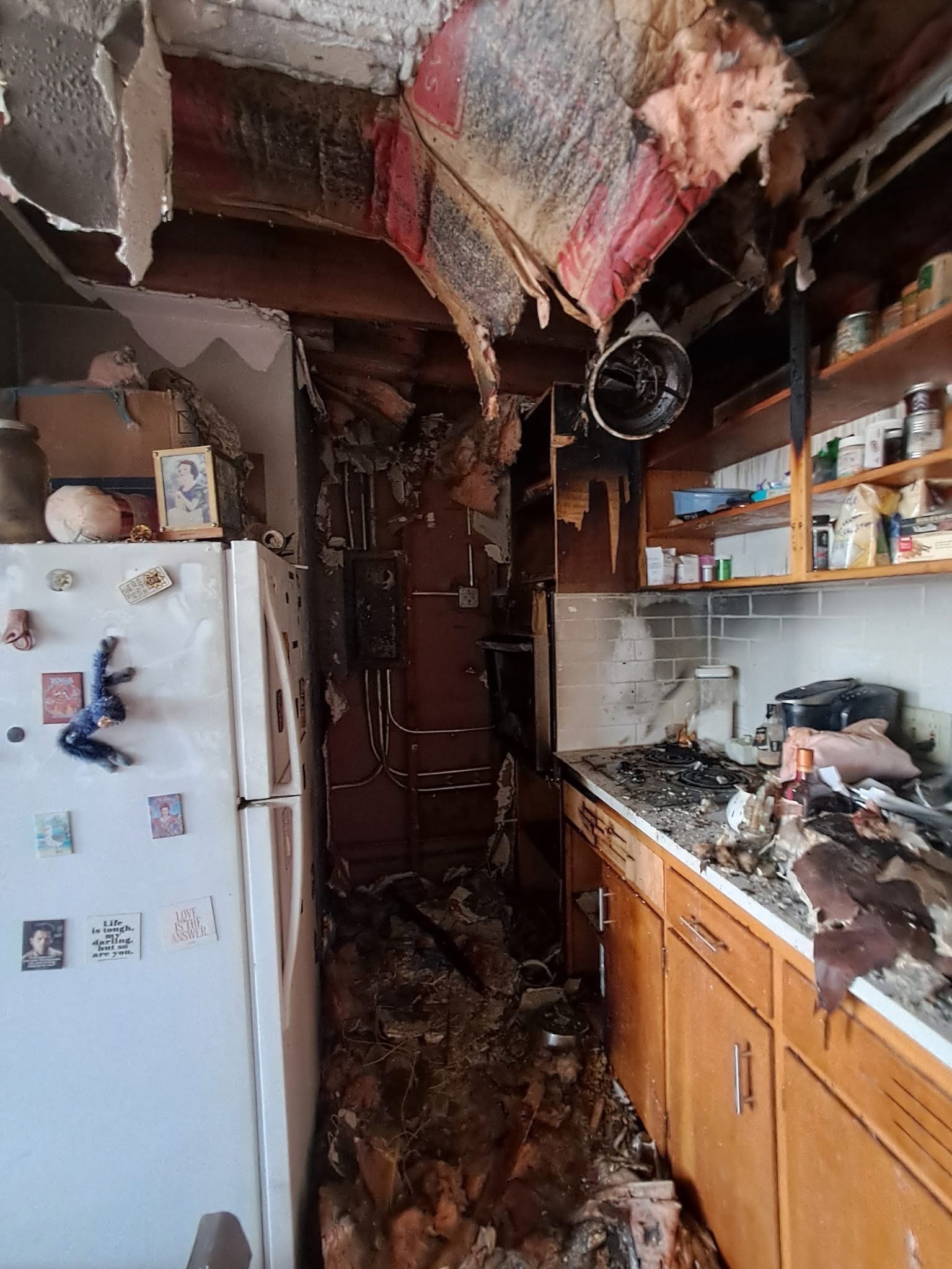 Support Destiny and Taquito After Fire campaign photo, 4 of 6