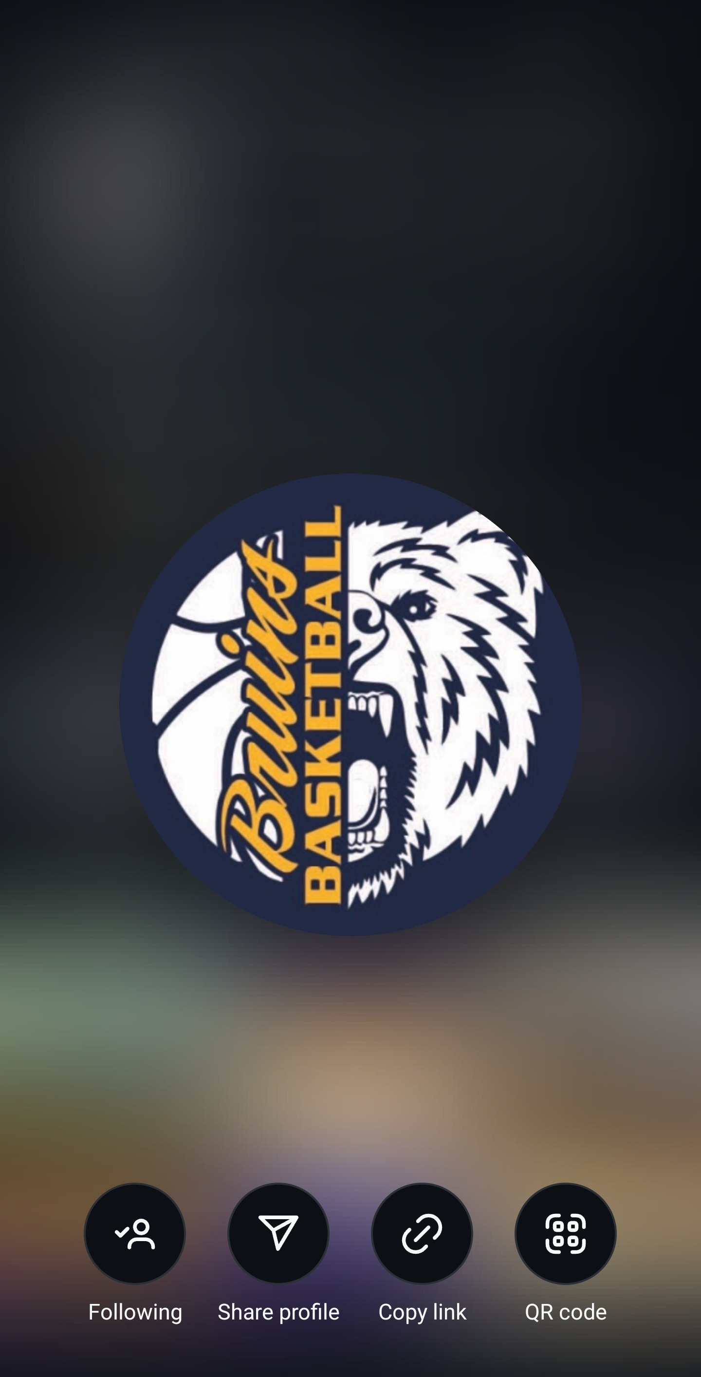 It Takes A Village - Support Western Branch Boys Basketball campaign photo, 2 of 4