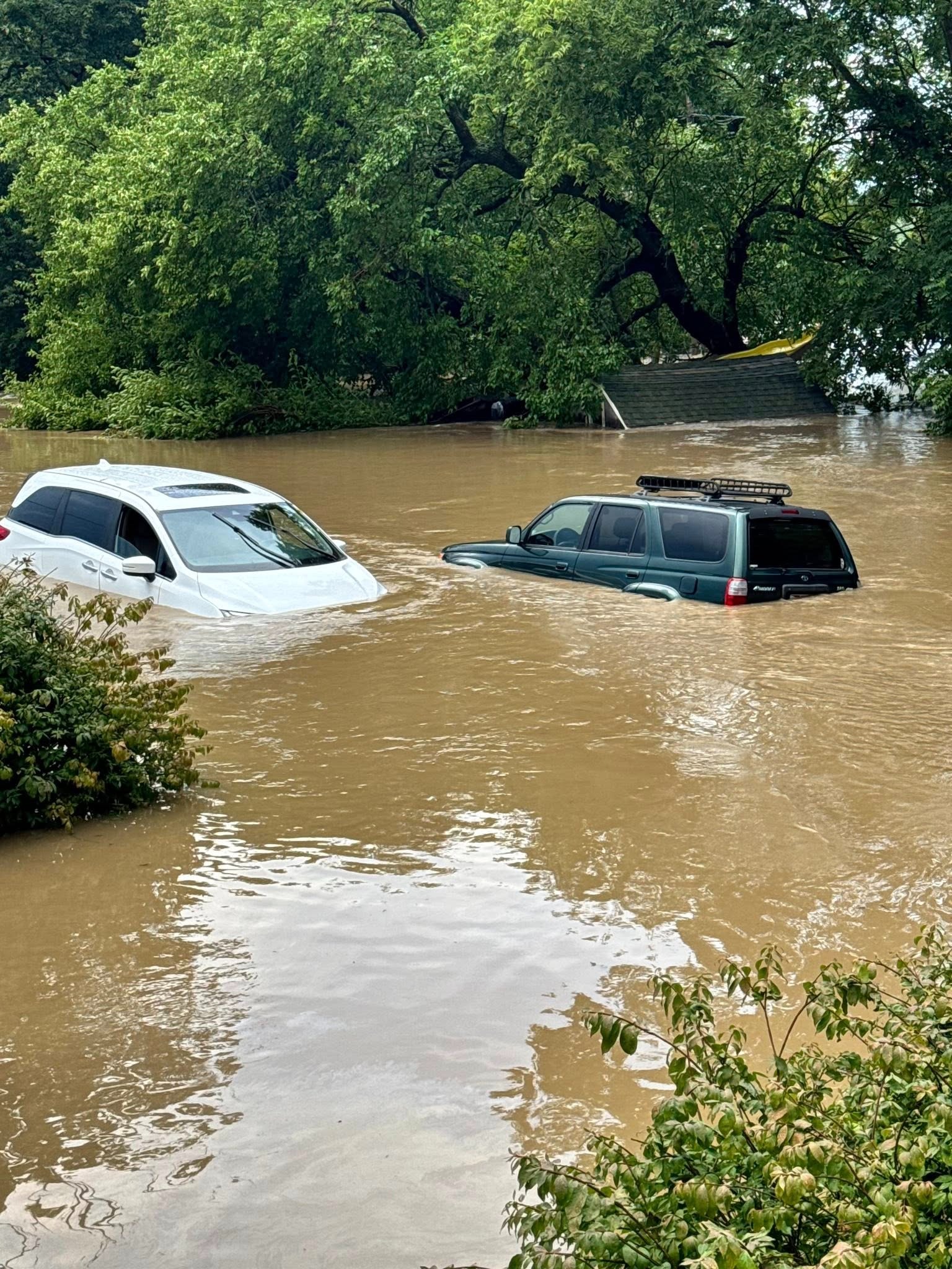 Support Ellie and Ricky After Tragic Home Flood campaign photo, 5 of 7