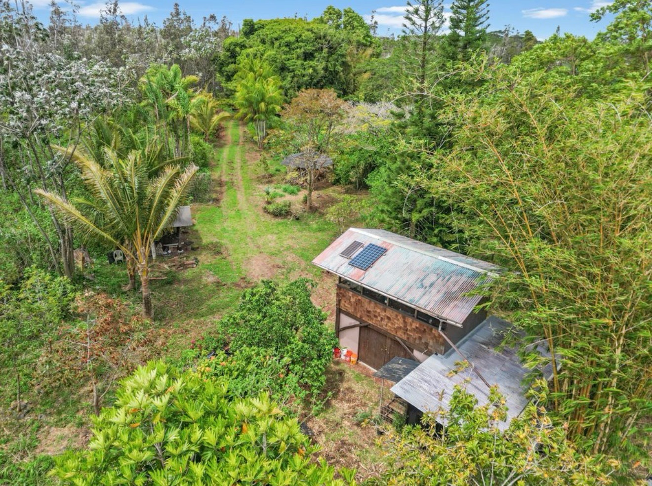 Help Us Build Our Women-Owned Tropical Fruit Farm campaign photo, 7 of 8