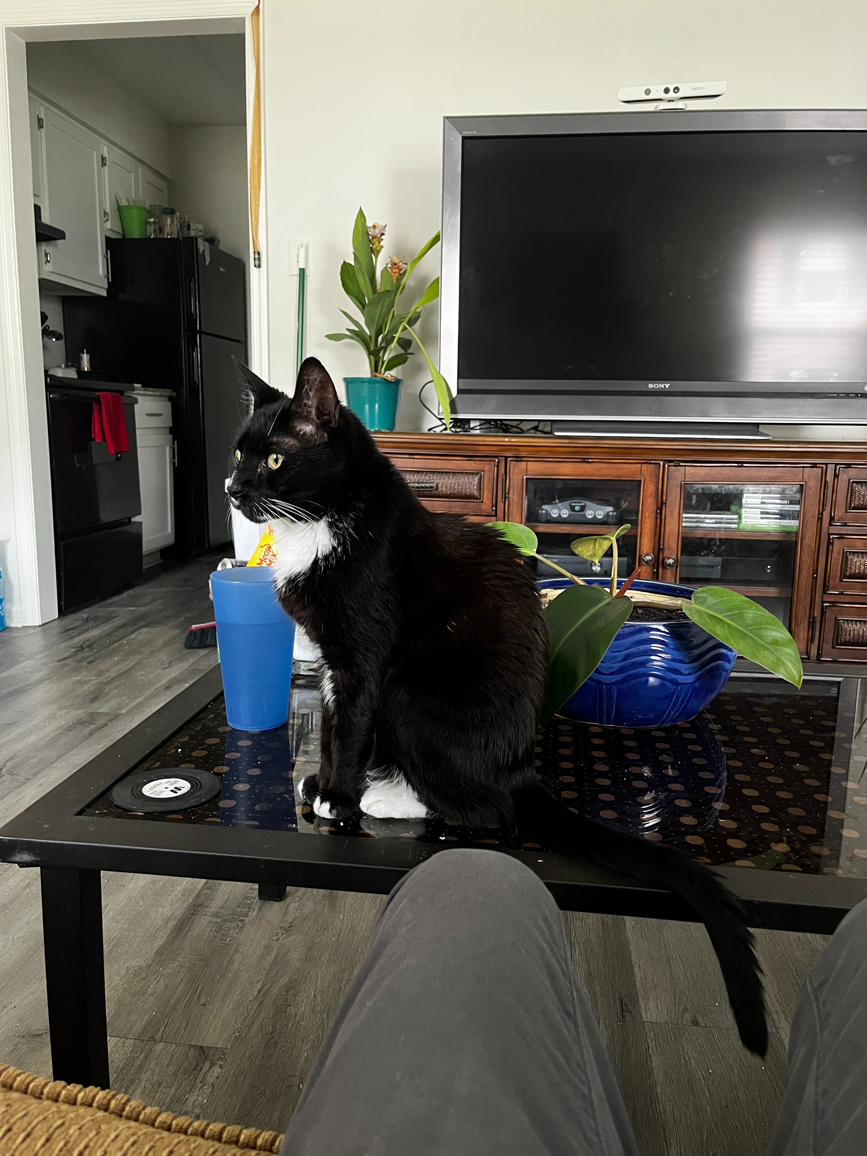 Urgent: First Rent Payment Needed campaign photo, 2 of 4