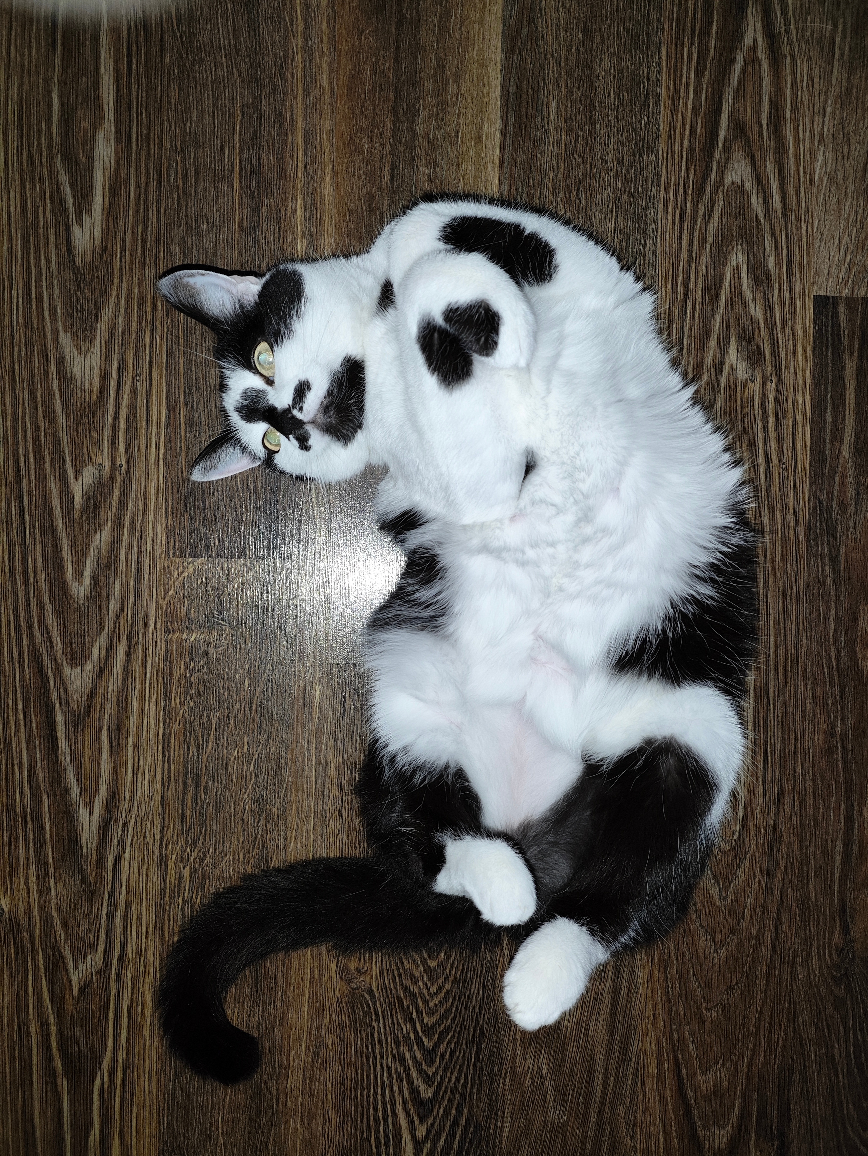 User-uploaded image 1