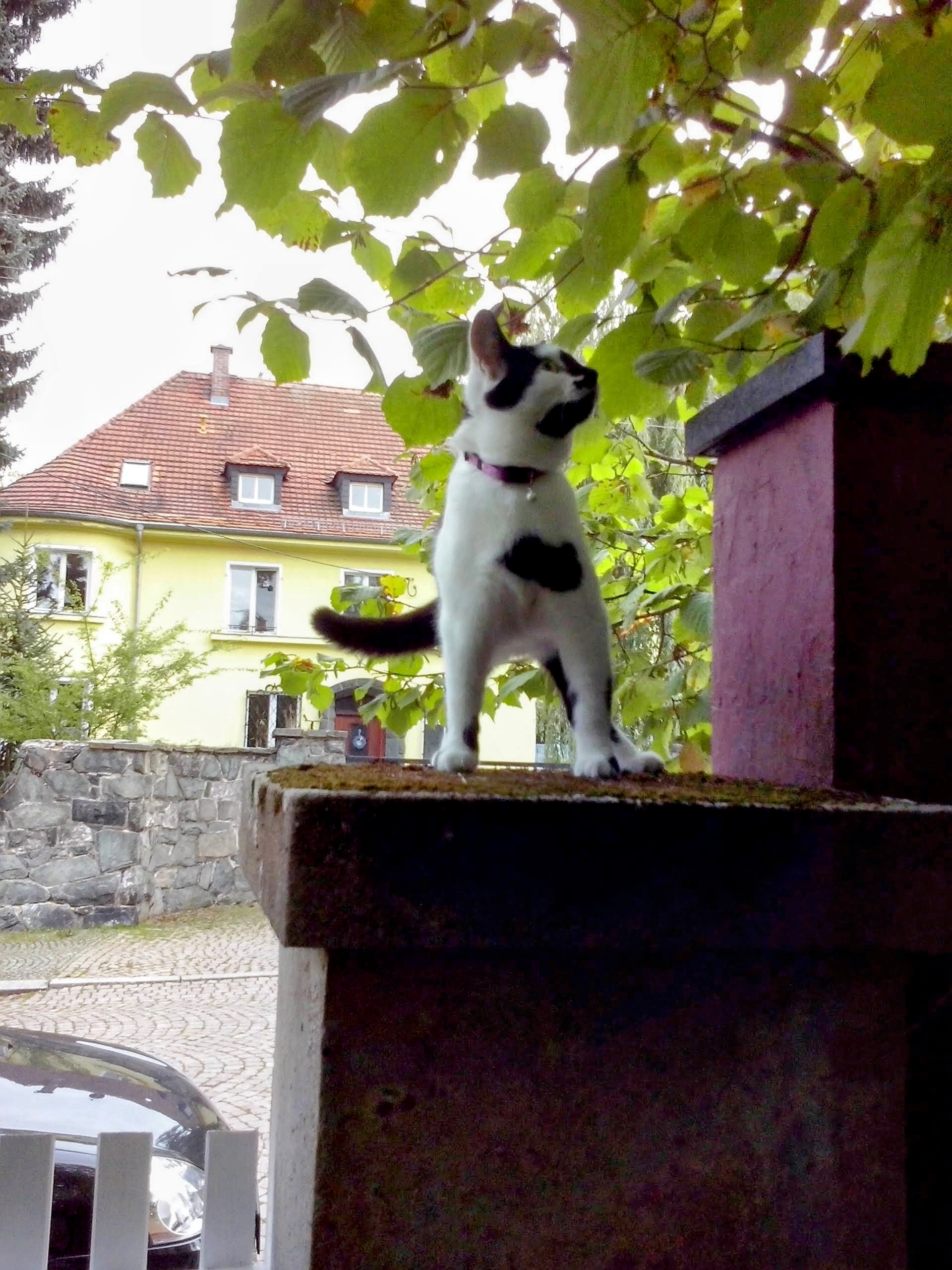 User-uploaded image 2