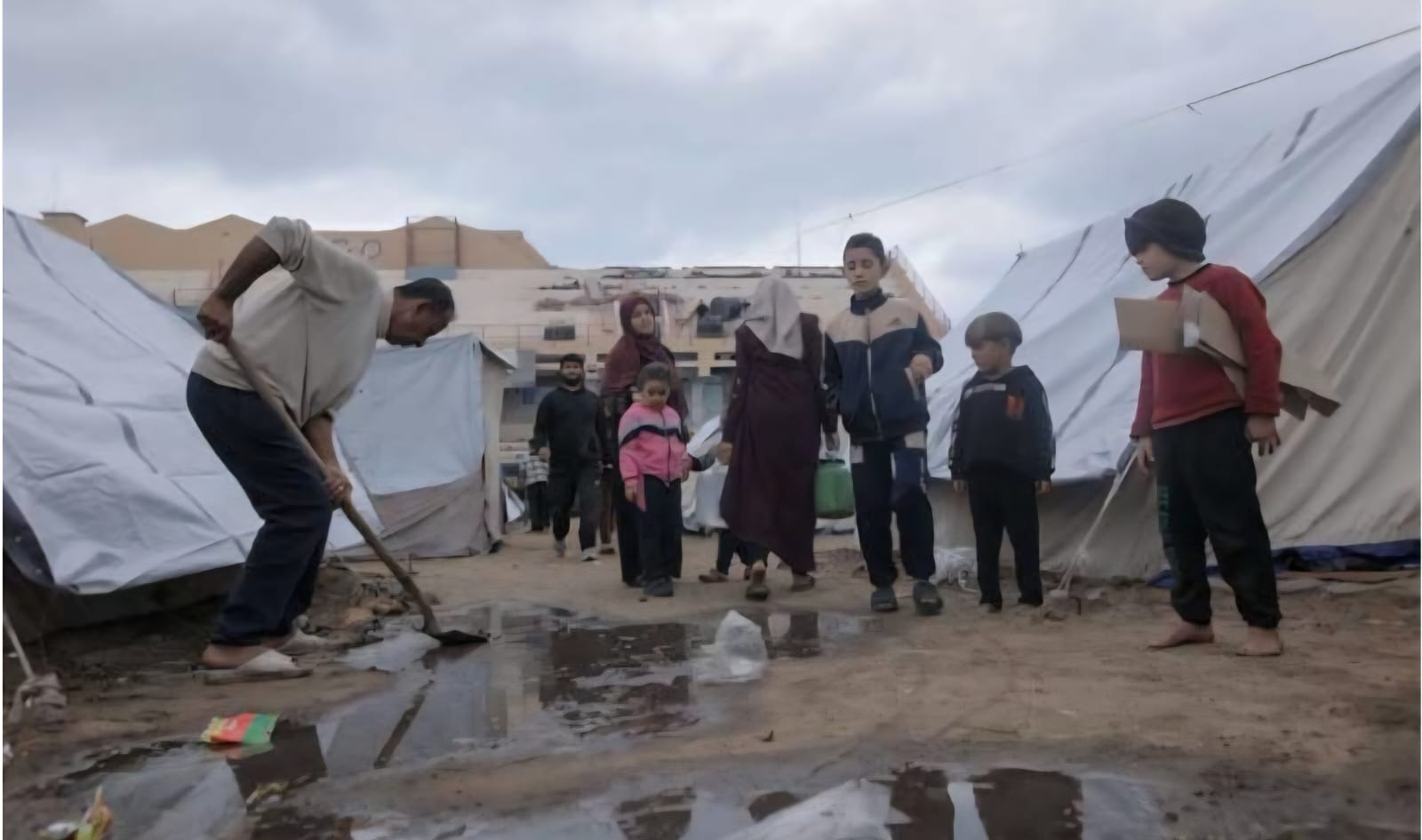 User-uploaded image 1