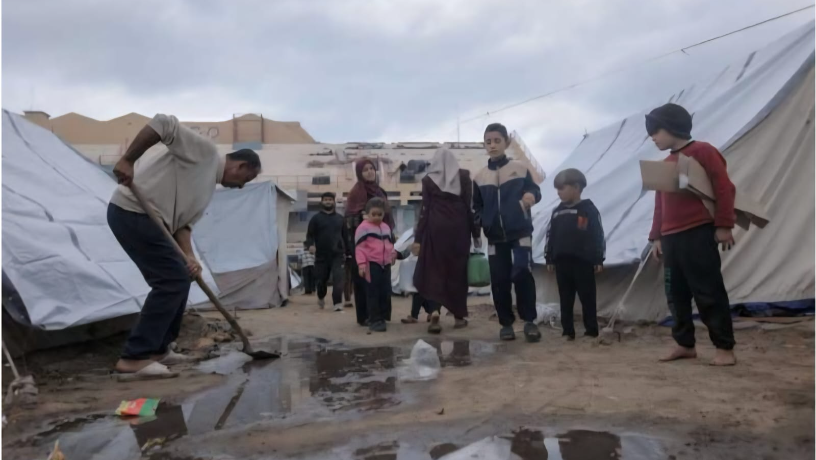 1. "Gaza Is Dying of Hunger – Your Help Can Make a Differen