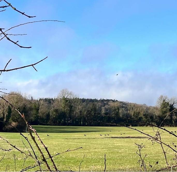 Oppose large Biomethane plant at Ballyvass, Castledermot campaign photo, 2 of 7