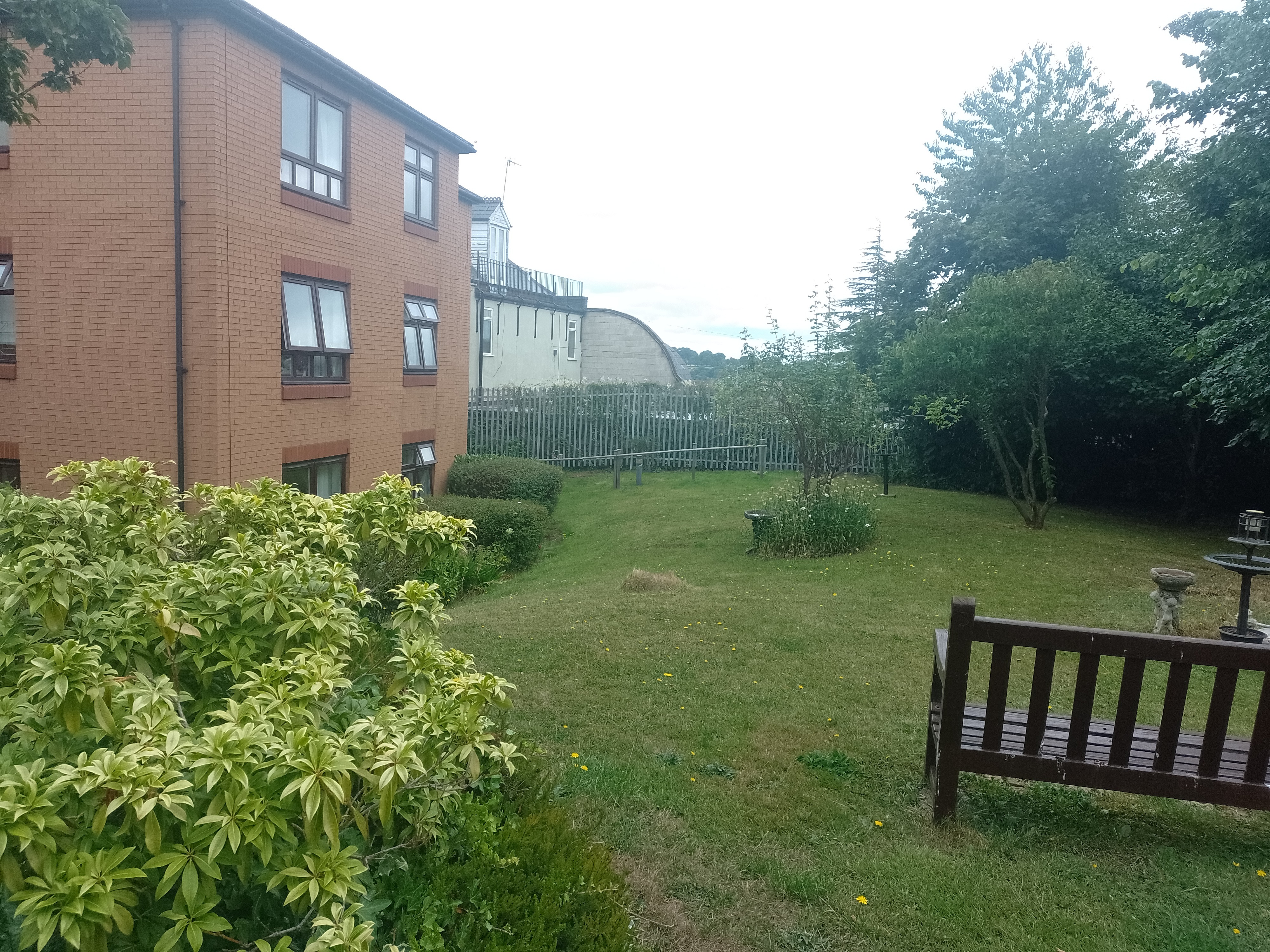 Garden Renovation campaign photo, 2 of 4