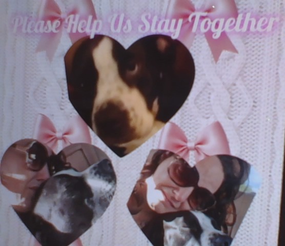 User-uploaded image 1