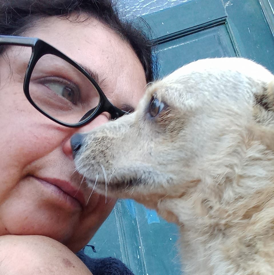 From Streets to Sanctuary – A Final Chance at Love campaign photo, 2 of 8