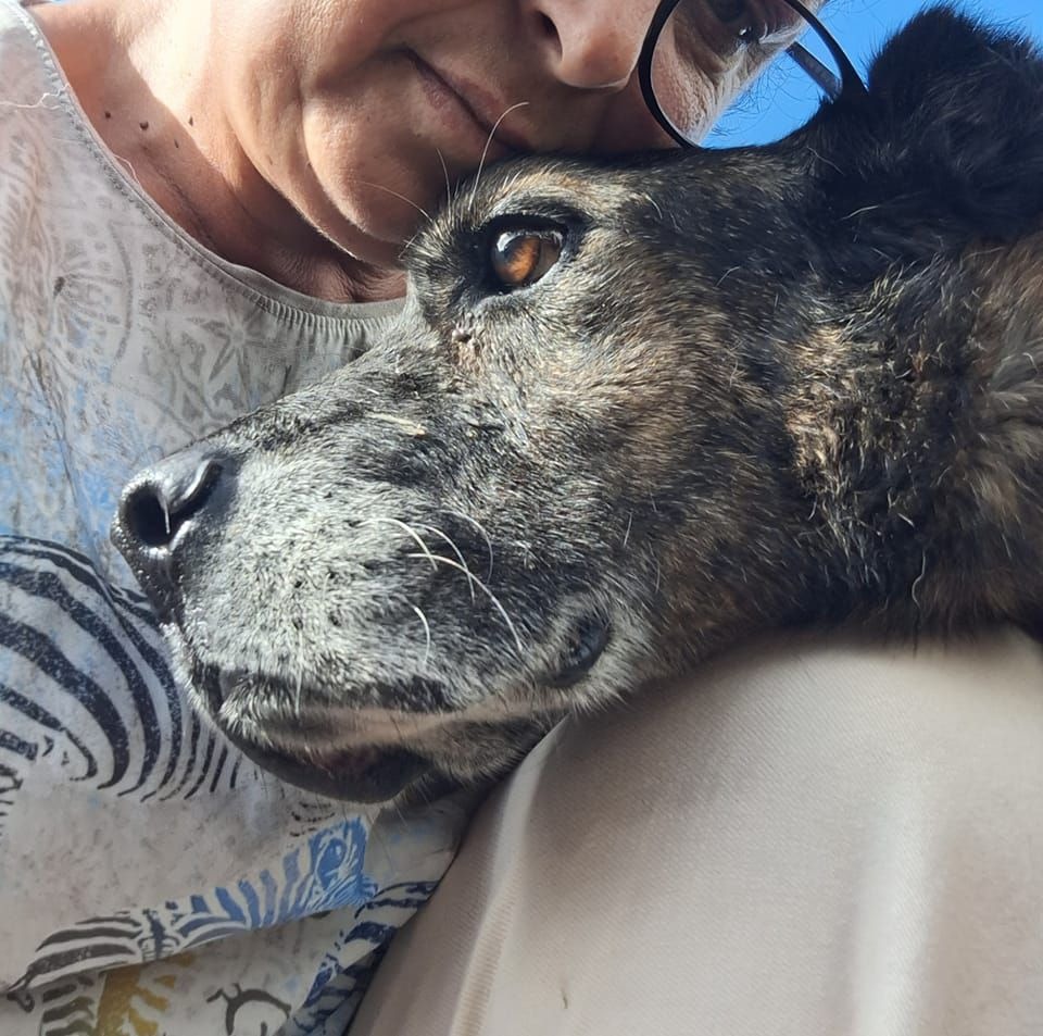 From Streets to Sanctuary – A Final Chance at Love campaign photo, 5 of 8