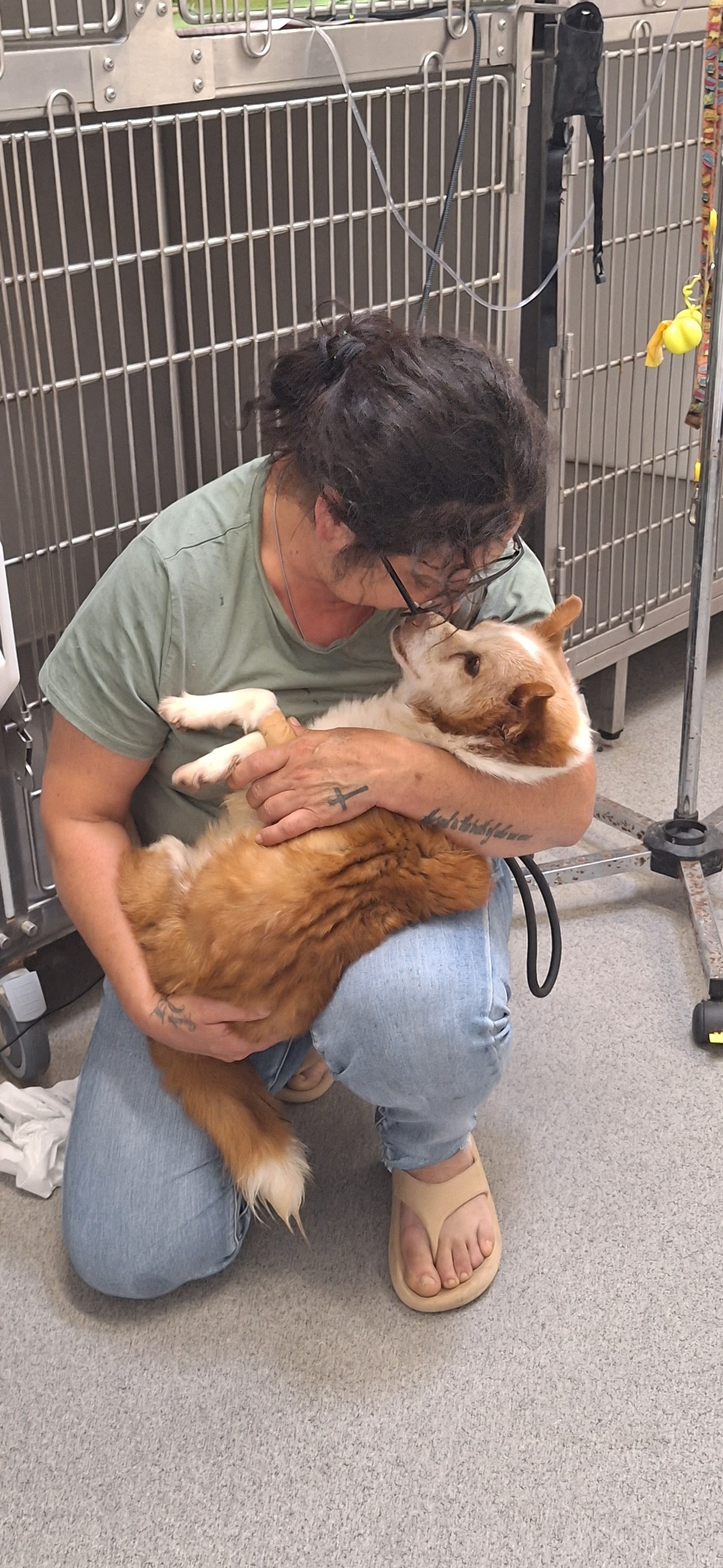 From Streets to Sanctuary – A Final Chance at Love campaign photo, 6 of 8