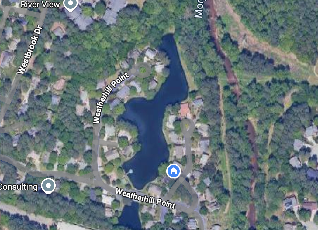 User-uploaded image 1