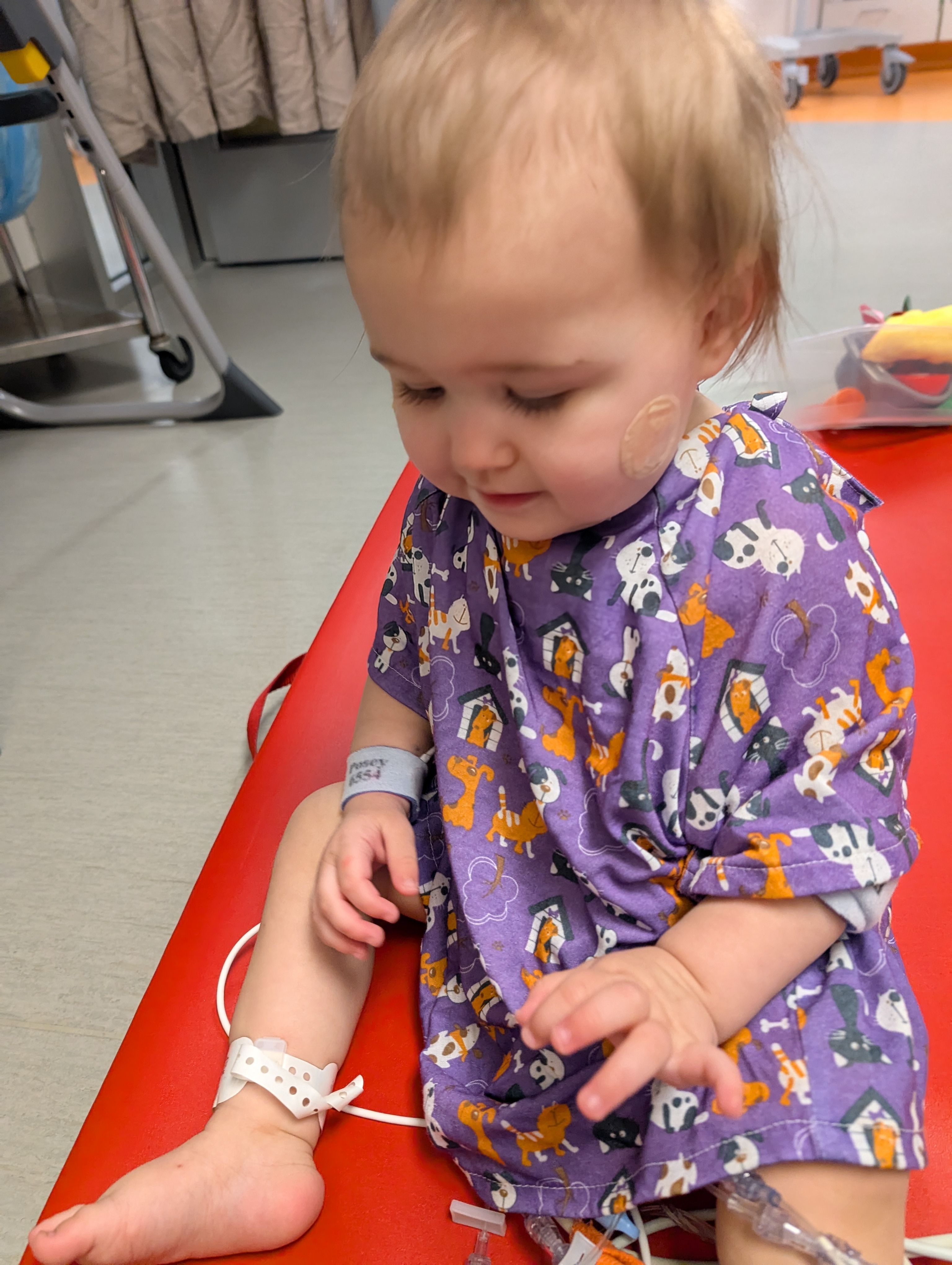 Help our family during Mabel's heart failure and recovery campaign photo, 4 of 7