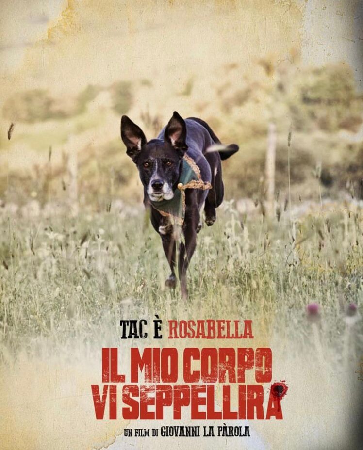 Aiutiamo Tac nella sua Battaglia campaign photo, 4 of 6
