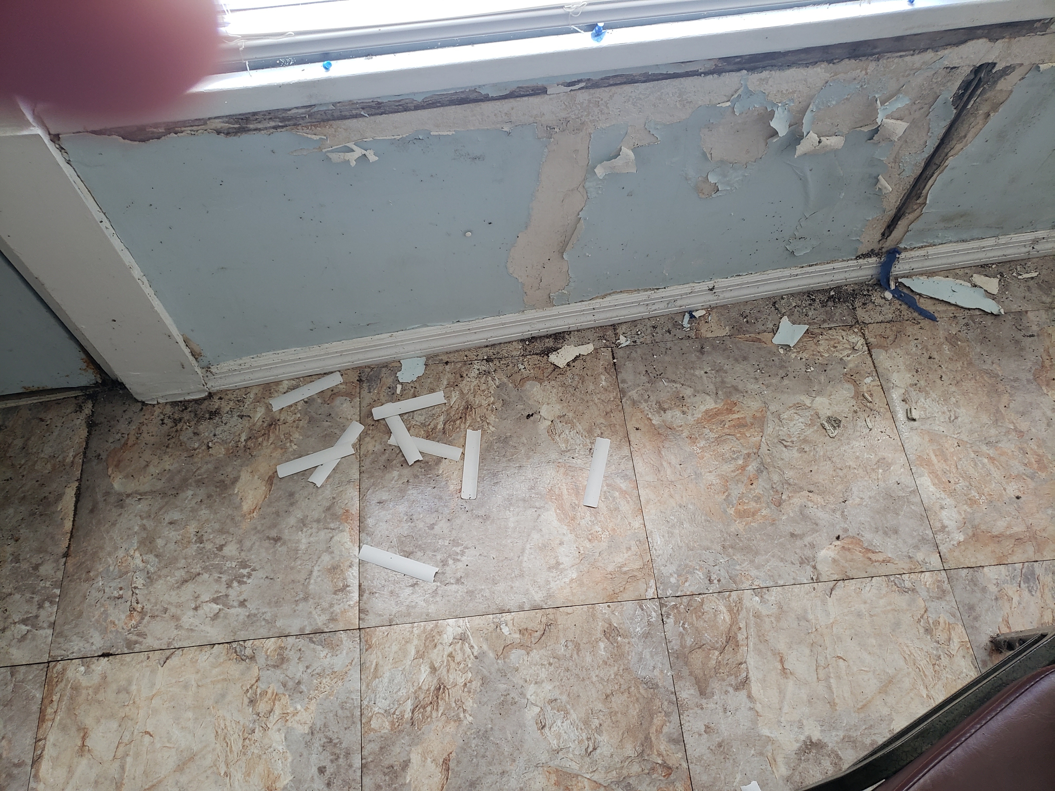 Support Veterans: Fix Post 555's Water Leak campaign photo, 4 of 7