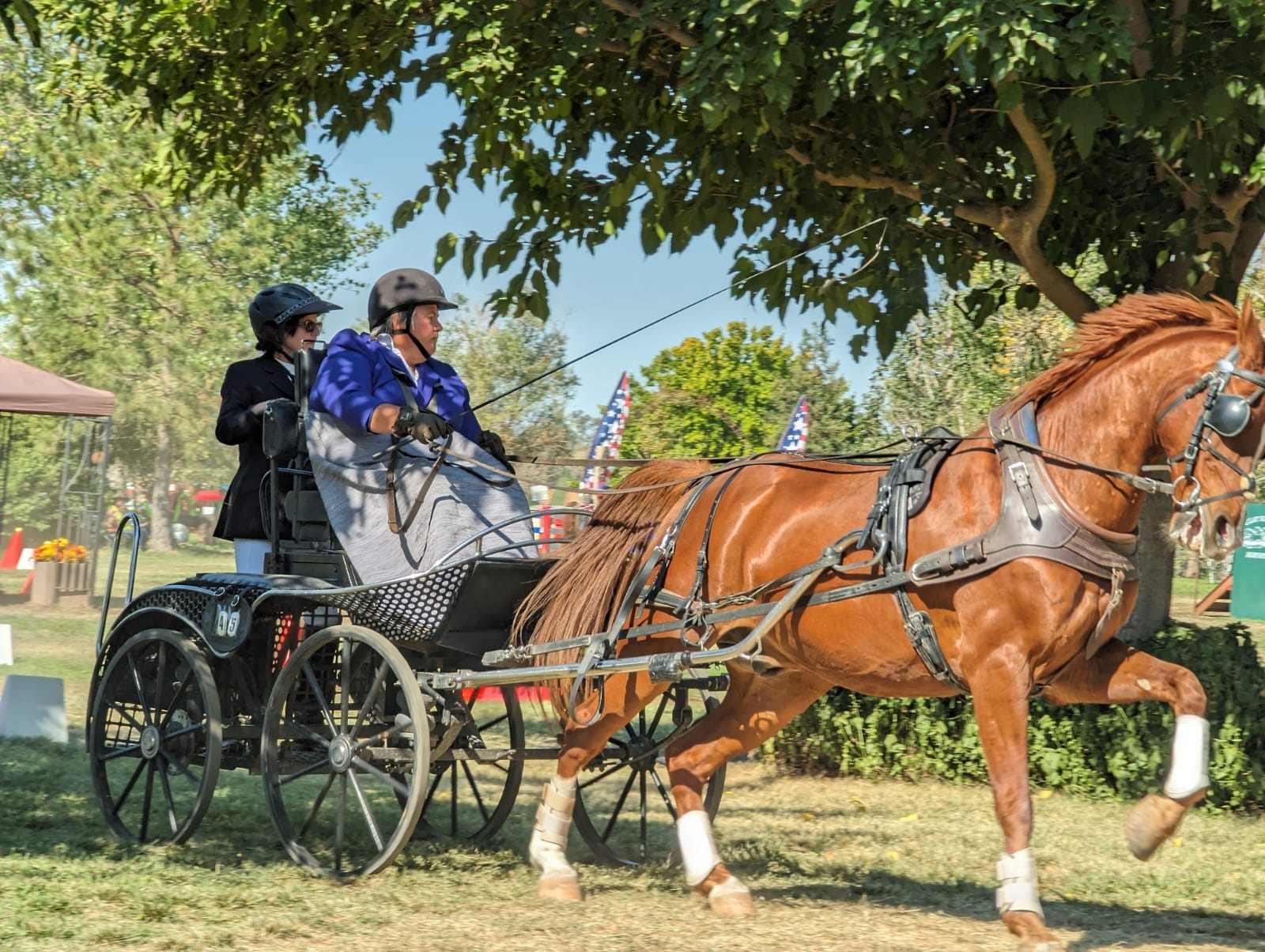 Support Diane's Quest for Gold in Para Driving campaign photo, 4 of 7