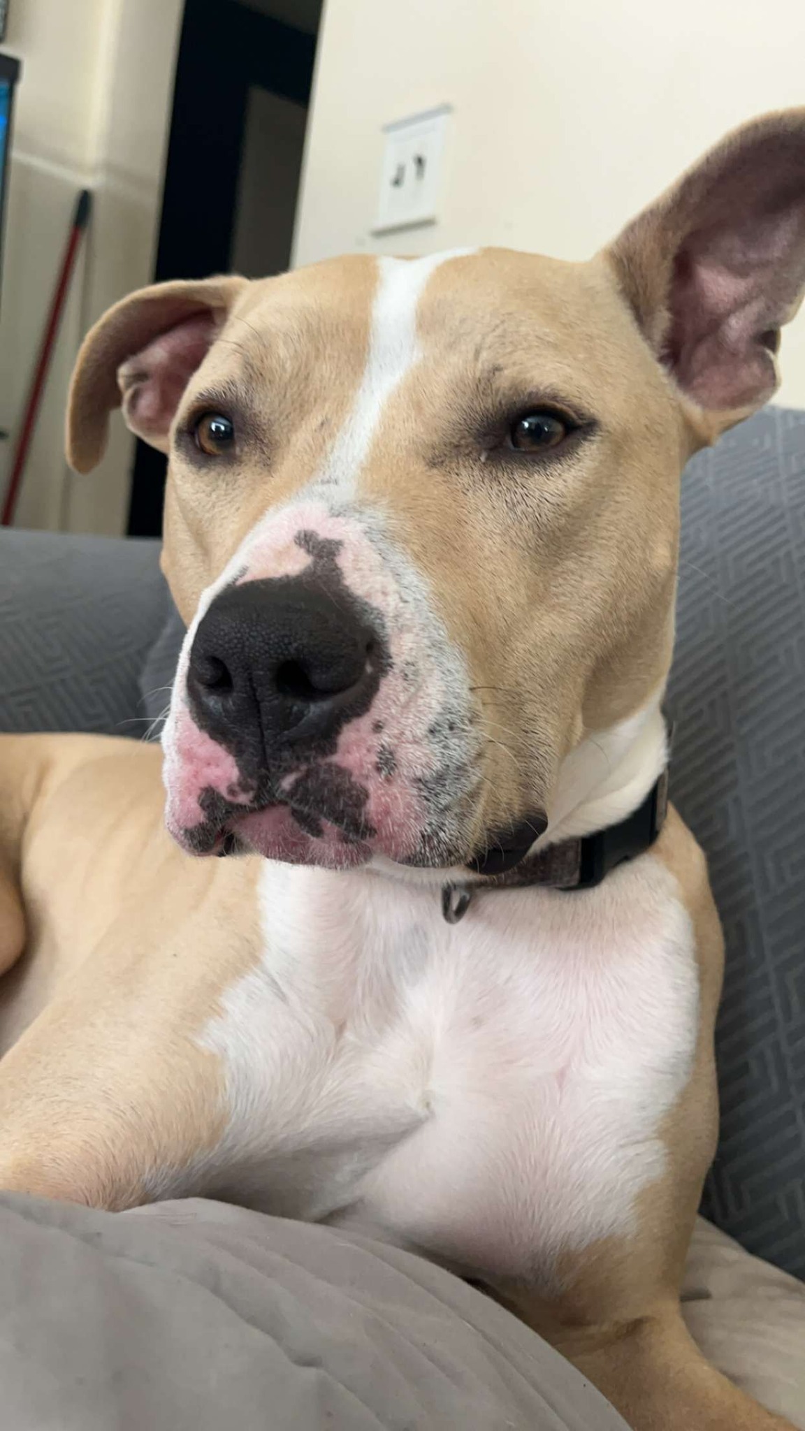 Can you help Tucker get the training he needs? campaign photo, 2 of 4