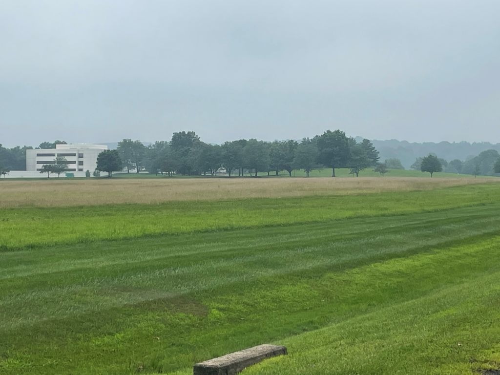 User-uploaded image 1