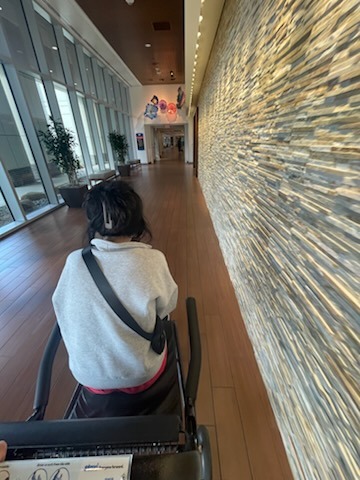 Support Liz Chapin's Medical Journey campaign photo, 5 of 6